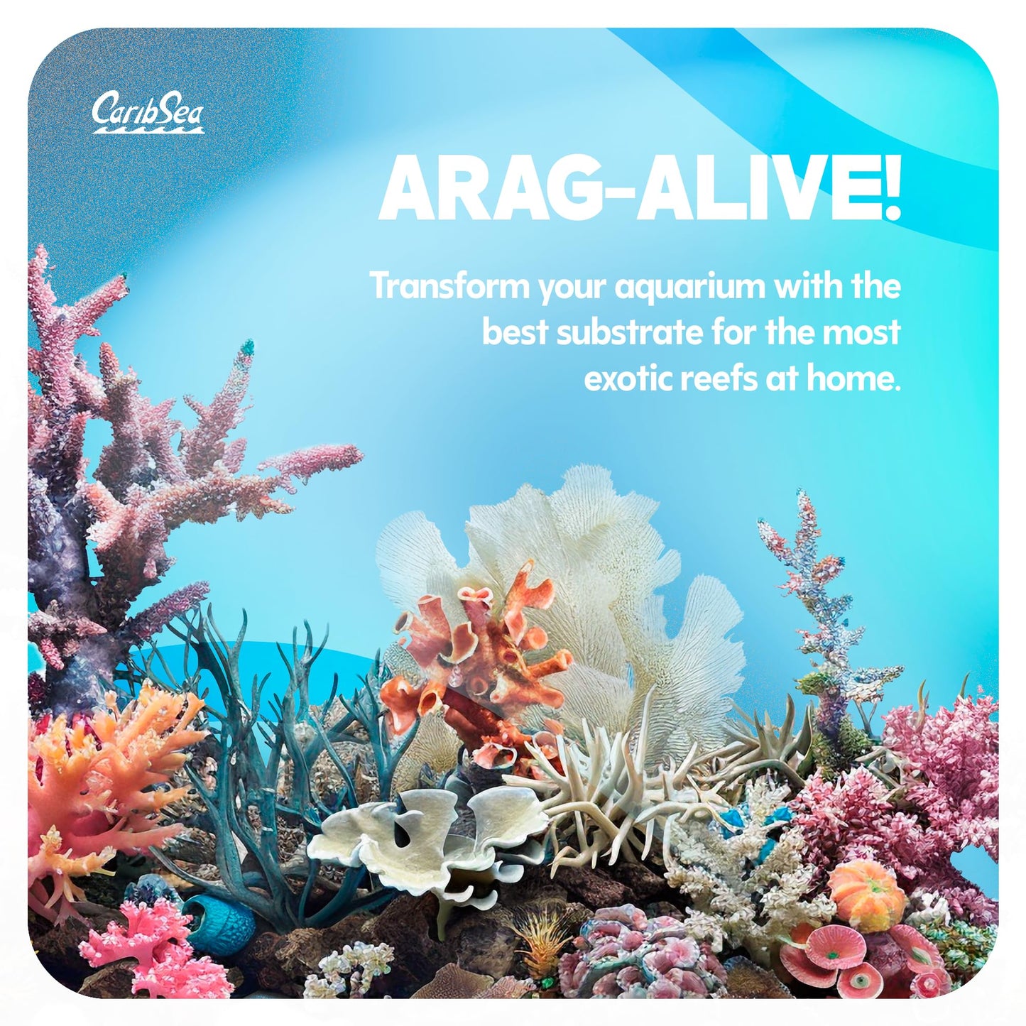 CaribSea Arag-Alive 20-Pound Fiji Pink Sand