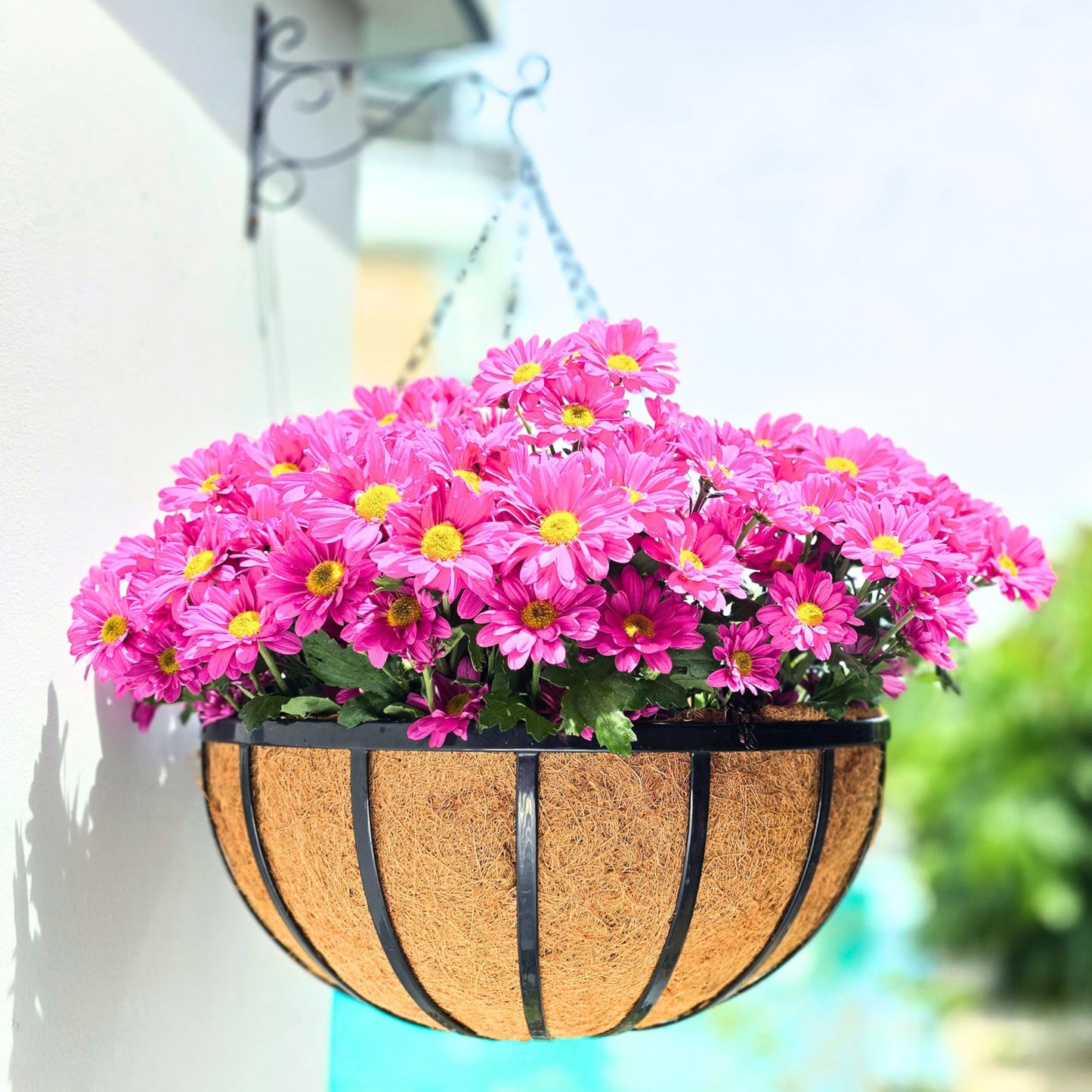 LaLaGreen Outdoor Hanging Baskets for Plants (18 Inch, 2 Pack) Extra Large Black Metal Flat Iron Hanging Planters with Coco Liner Round Flower Pot Holder Hanger Deck Porch Modern Garden Balcony Decor