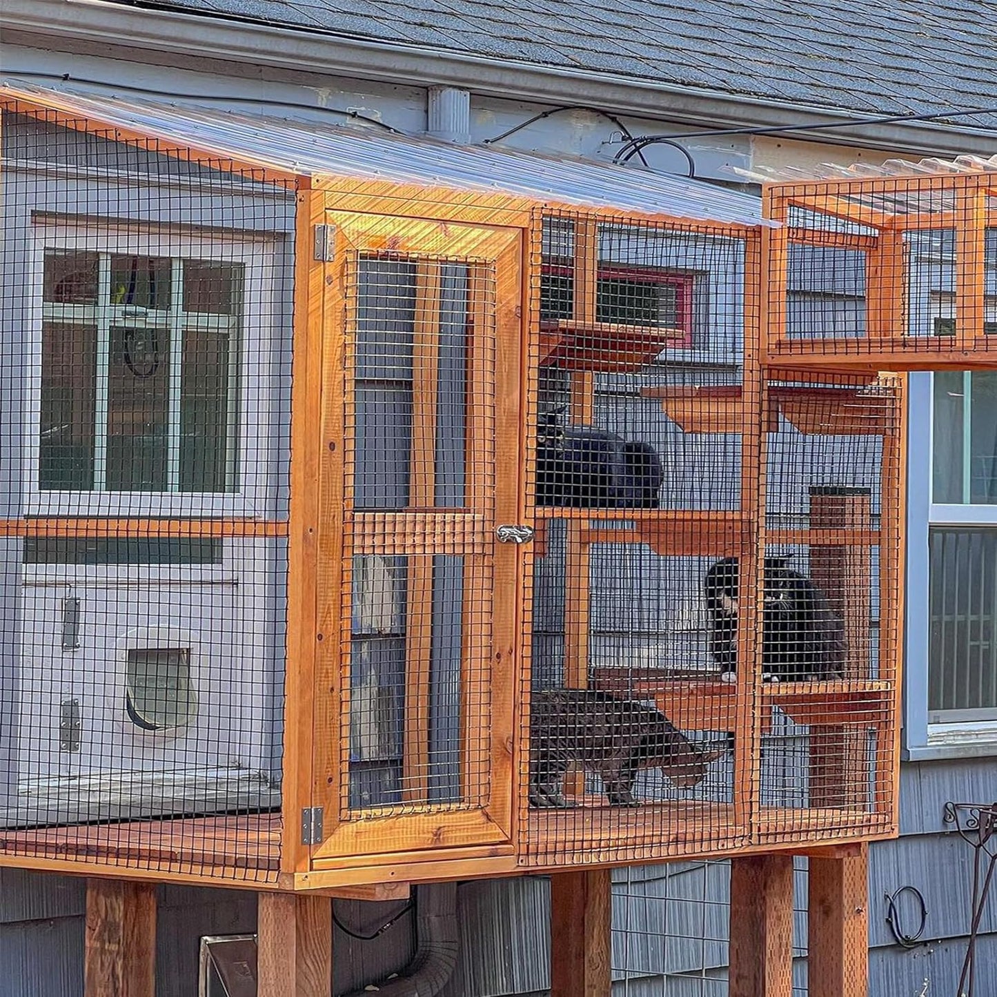 PVC Coated Welded Wire Fence 36 Inch x 50 Ft Black, 2" X 3" 16GA Coated Hardware Cloth, Chicken Fencing, Metal Garden Plant Fencing, Welded Mesh Roll for Yard Vegetable Plant Protection Poul