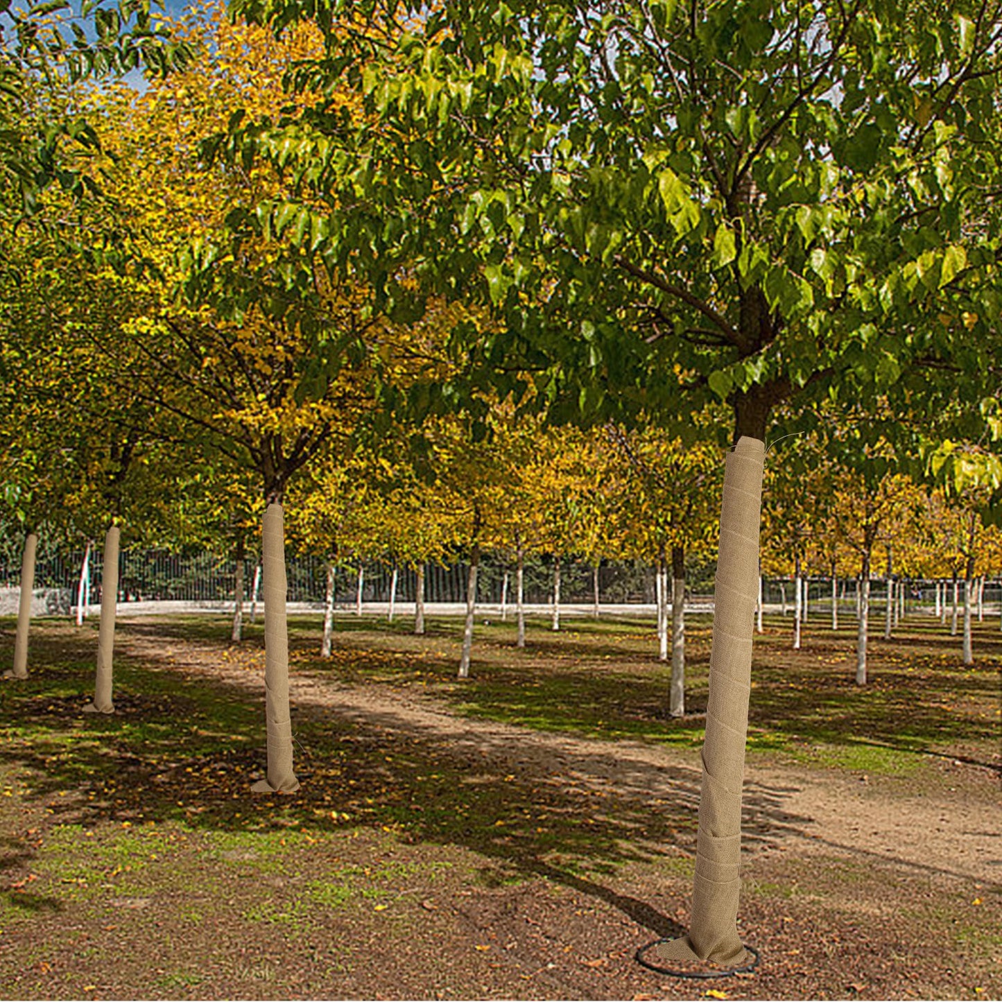 4 Rolls Natural Burlap Tree Wrap Rolls- 10in x 10ft Burlap Fabric Tree Trunk Protector- Burlap Plants Wrap Bandage with Ropes- Frost & Freeze Protection Cloth for Winter Outdoor Trees, Shrubs, Plants