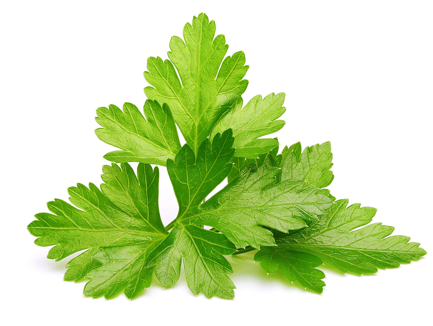 Click and Grow Smart Garden Steak Seasoning Mix, 9-Pack