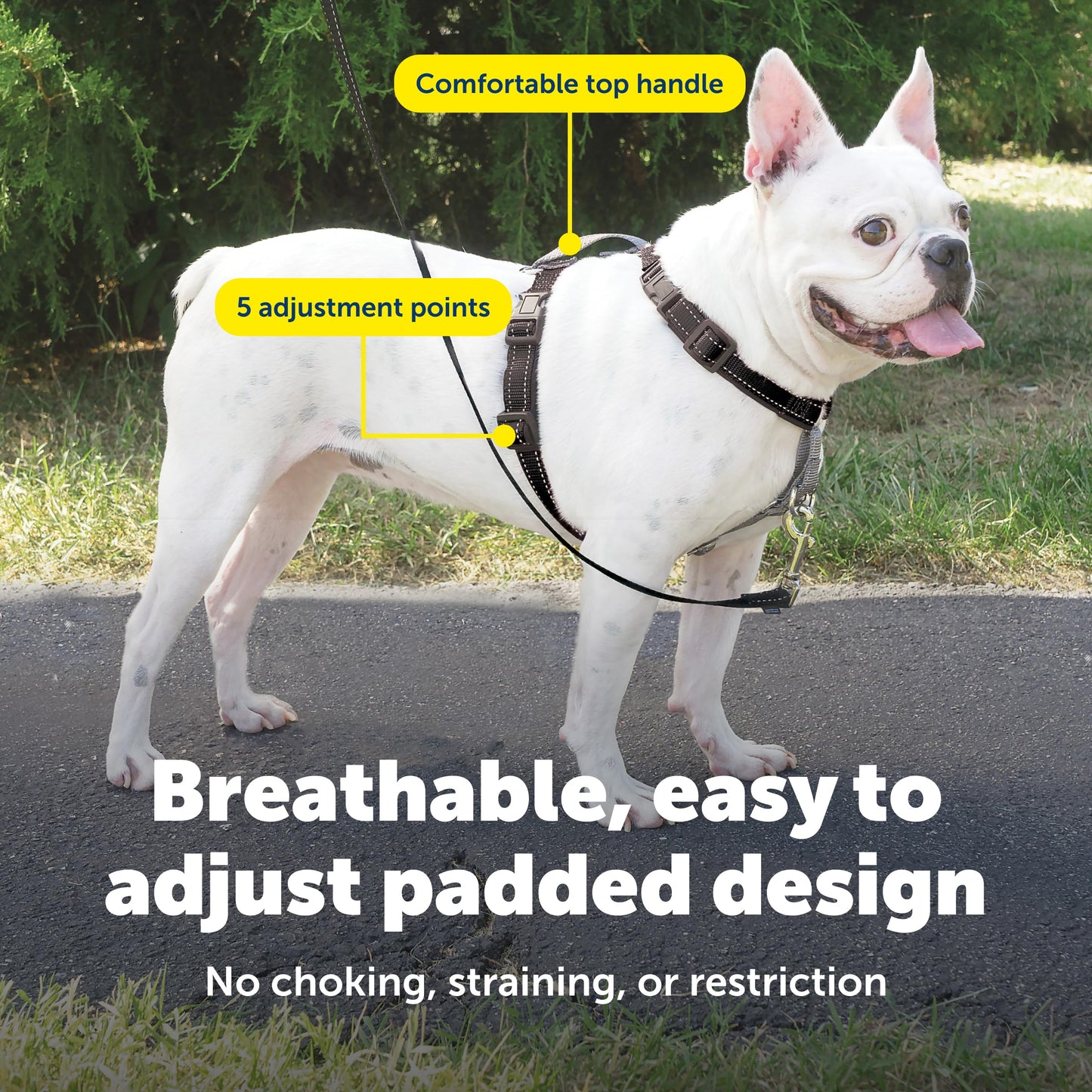 PetSafe 3 in 1 Dog Harness - No Pull Solution for Dogs - Reflective Dog Harness - Front D-Ring Clip Helps Stop Pulling - Comfortable Padded Straps - Top Handle Enhances Control - Black - Small