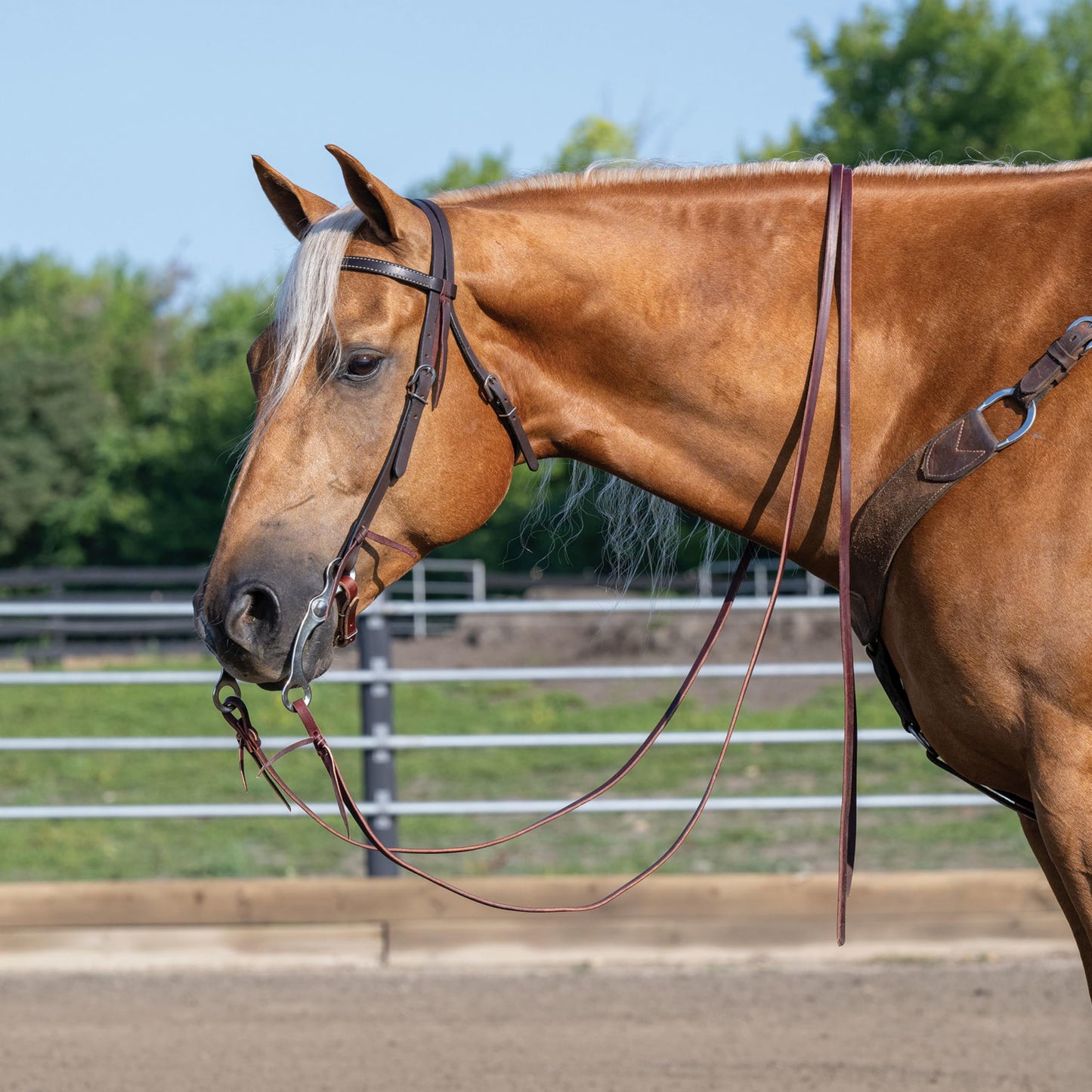 Turquoise Cross Skirting Leather Headstall Dark Oiled Horse Size 45-0150