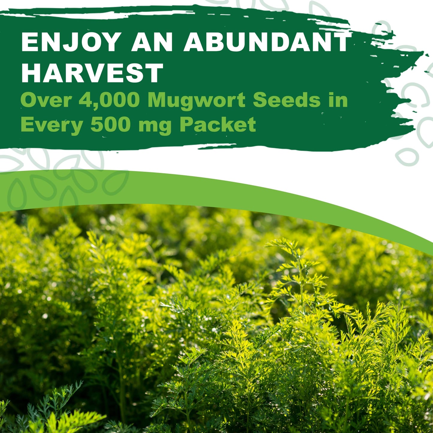 TKE Farms & Gardens - Mugwort Seeds for Planting, 500 mg Packet, 4000+ Non-GMO Heirloom Medicinal Herb Seeds, High Germination Rate, Fast-Growing Perennial Herb, Includes Easy Planting Instructions