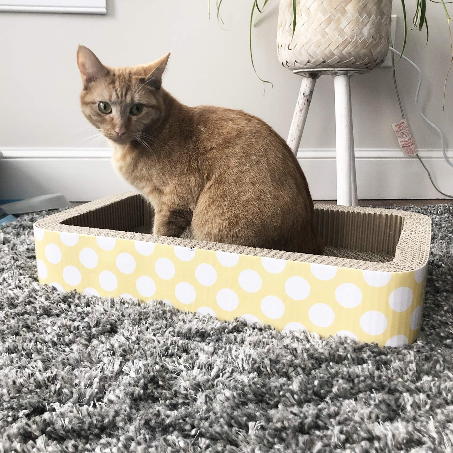 Petrageous 13079 Jerrys Rectangular Corrugated Cat Lounge Scratcher 20-Inch Long 12-Inch Wide 3.5-Inch Tall with Cat Nip for Cats or Kittens, Yellow