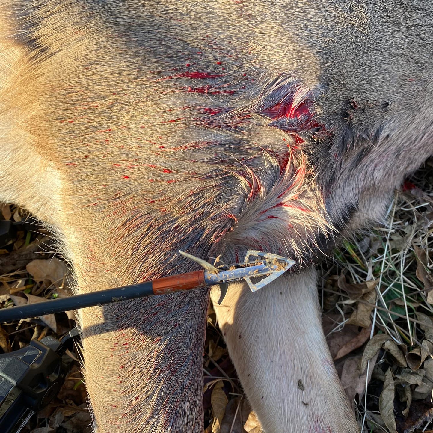 Bloodsport Grave Digger Mechanical Broadhead 100 Grain Aluminum and Steel.