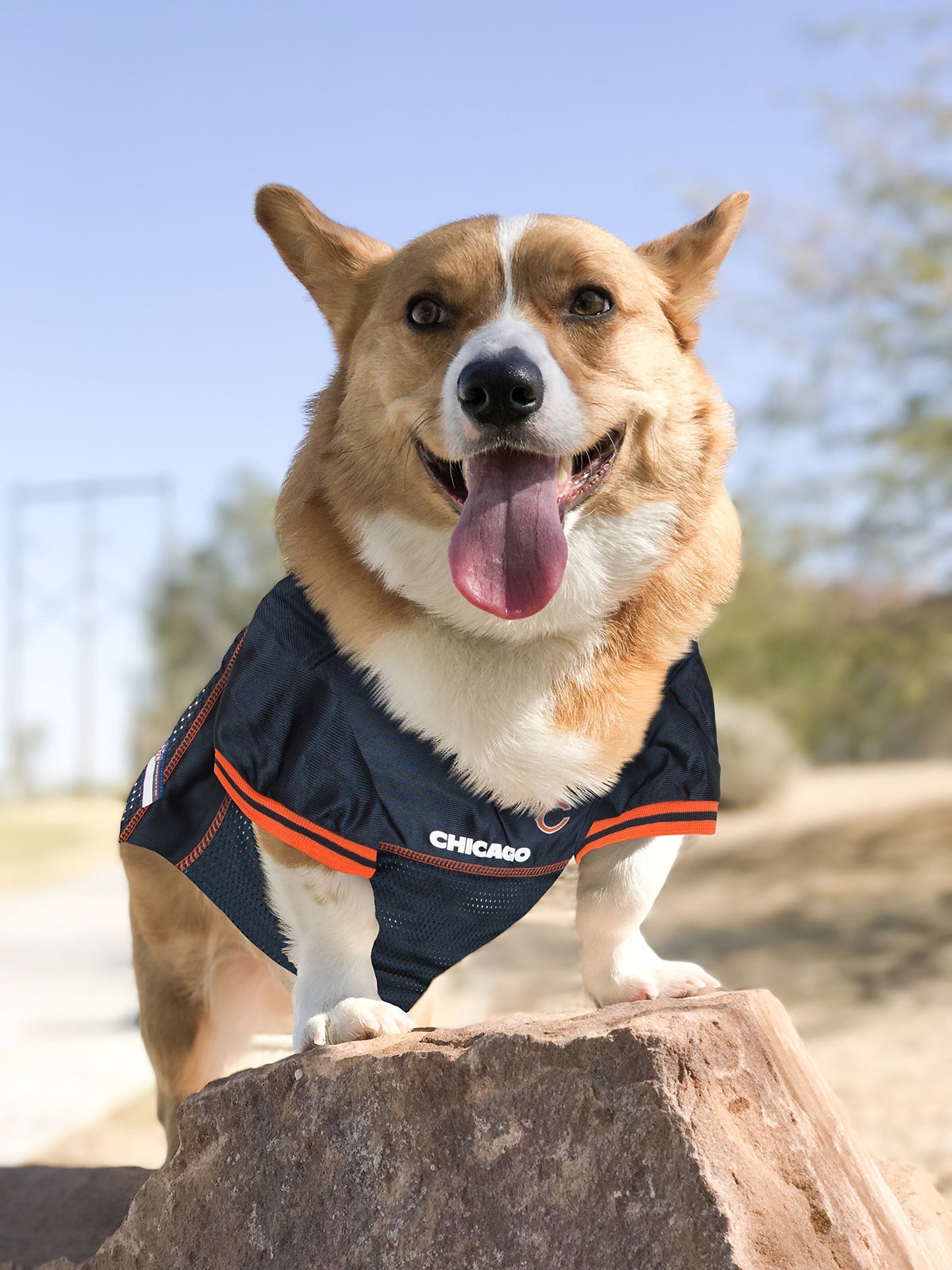 NFL Chicago Bears Dog Jersey, X-Large
