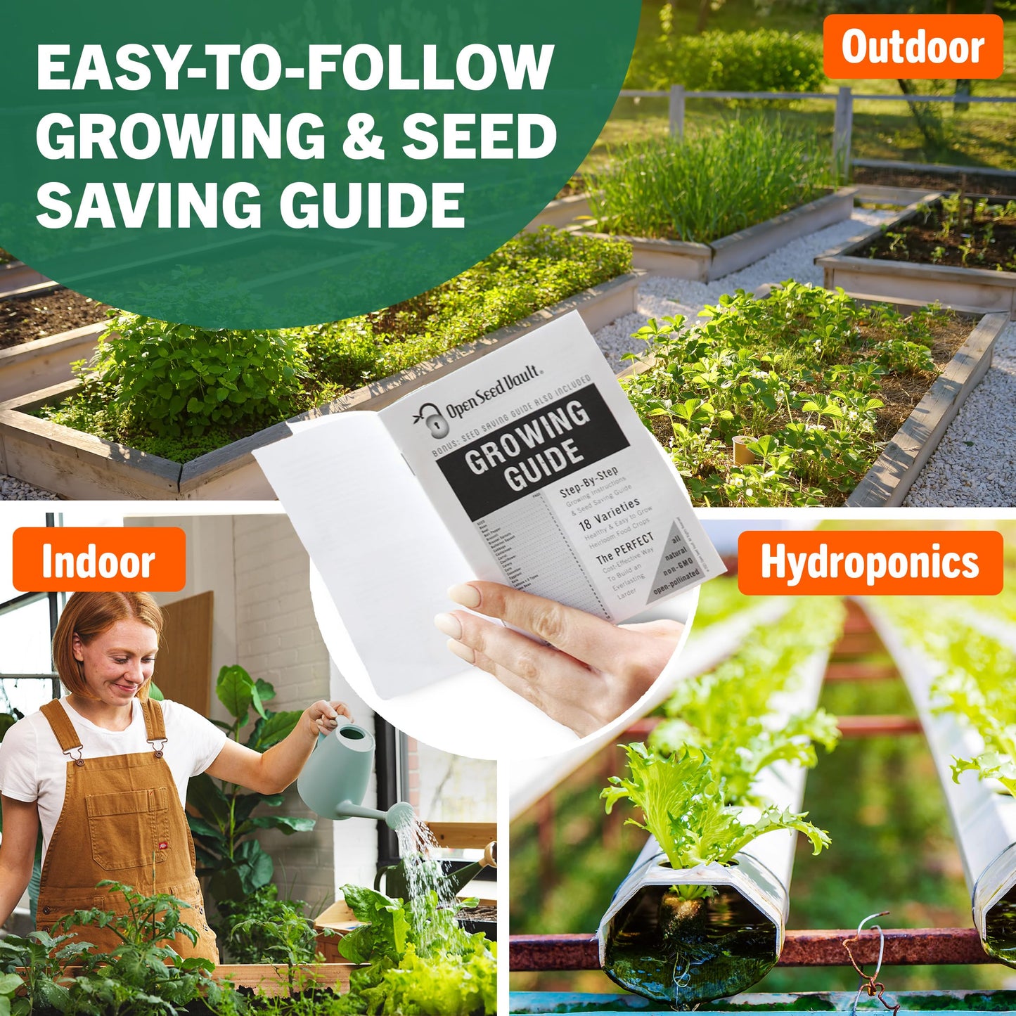 15,000+ Non-GMO Heirloom Vegetable Seeds 32 Variety Pack by Open Seed Vault