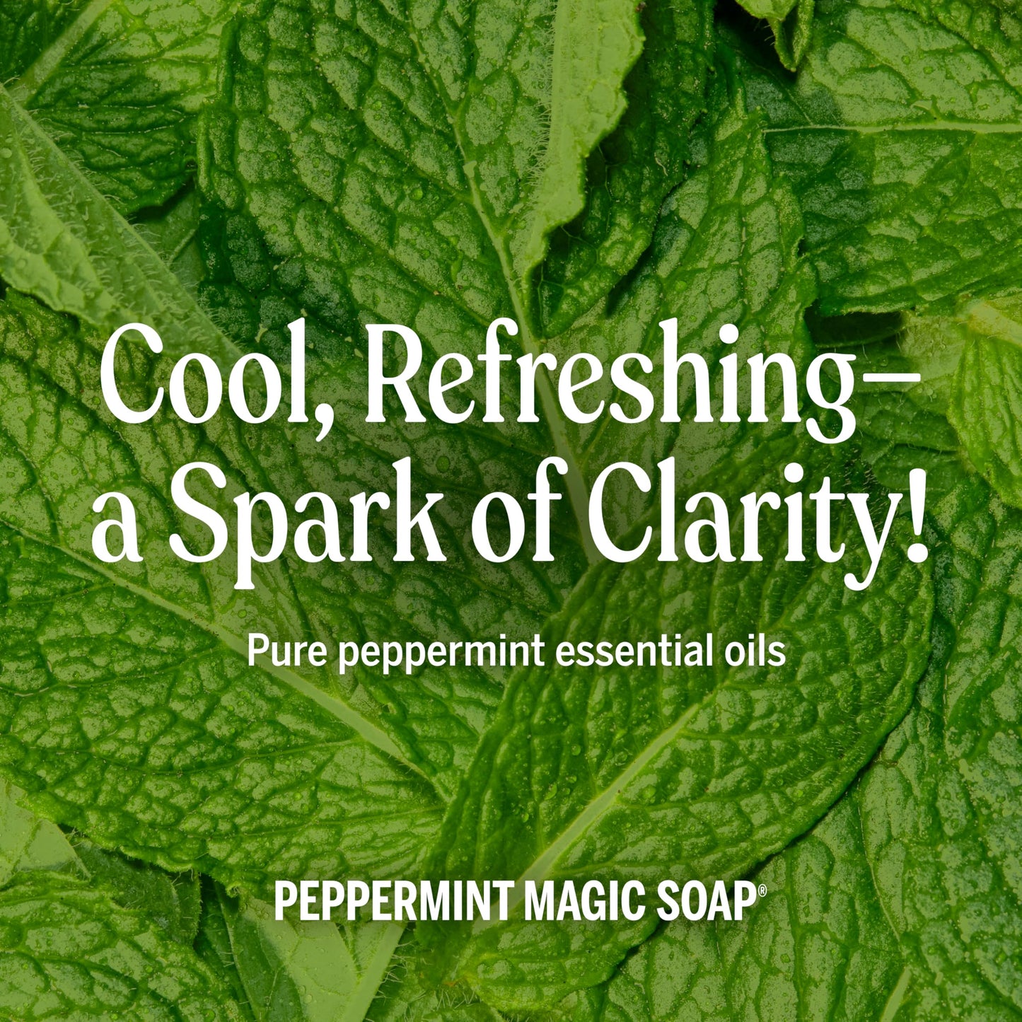 Dr. Bronner’s - Pure-Castile Liquid Soap (Peppermint, 473 mL, 2-Pack) - Made with Organic Oils, 18-in-1 Uses: Face, Body, Hair, Laundry, Pets and Dishes, Concentrated, Vegan, Non-GMO