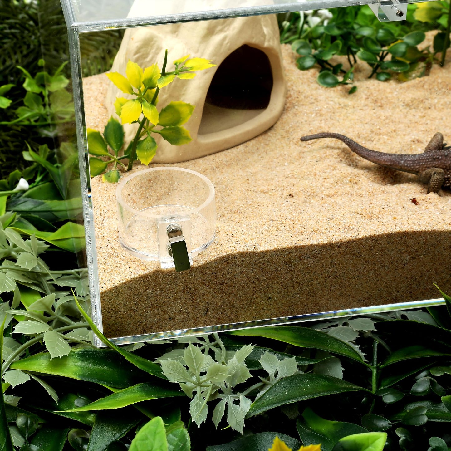 Acrylic Tarantula Enclosure Jumping Spider Enclosure with Front Opening Door 5.3 * 5.3 * 9 Inches Micro Habitat Terrarium for Small Tree Dwelling Reptiles, Spiders & Invertebrates (Enclosure&Feeder)