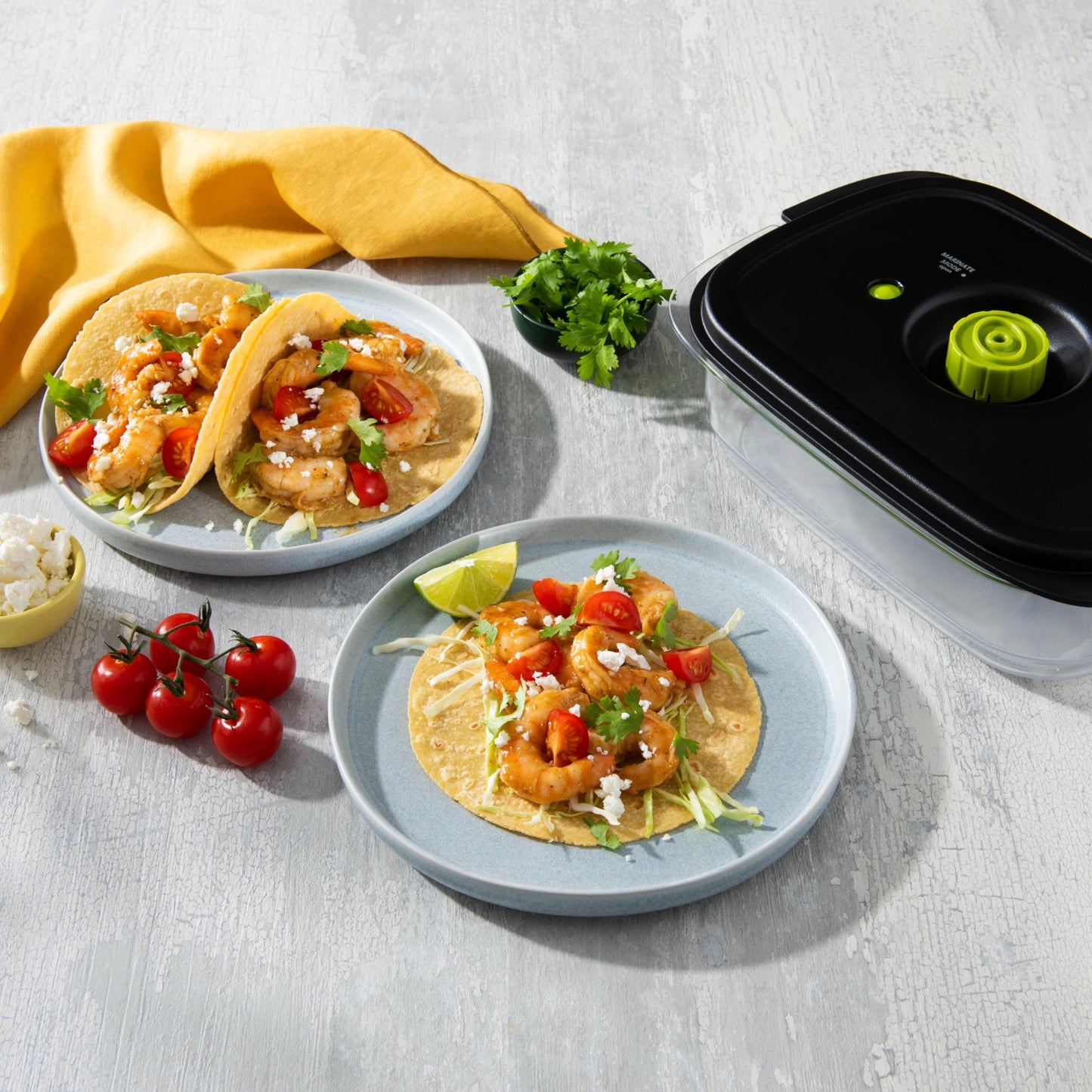 Foodsaver Marinade Containers (3cup & 10 cup)
