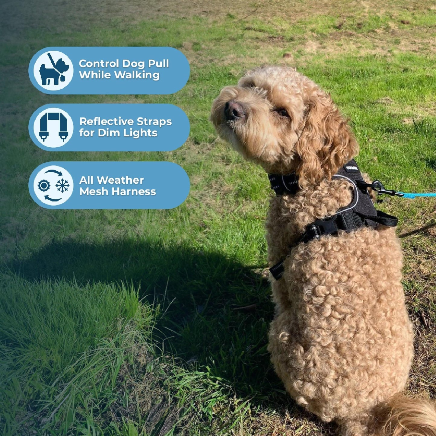 Best Pet Supplies Voyager Dog Harness Dual Leash Attachment No-Pull Control Adjustable Soft but Strong Pet Harness for Medium and Large Dogs with 3M Reflective Technology - Black, M (Chest: 20 - 25"), 211-BK-M