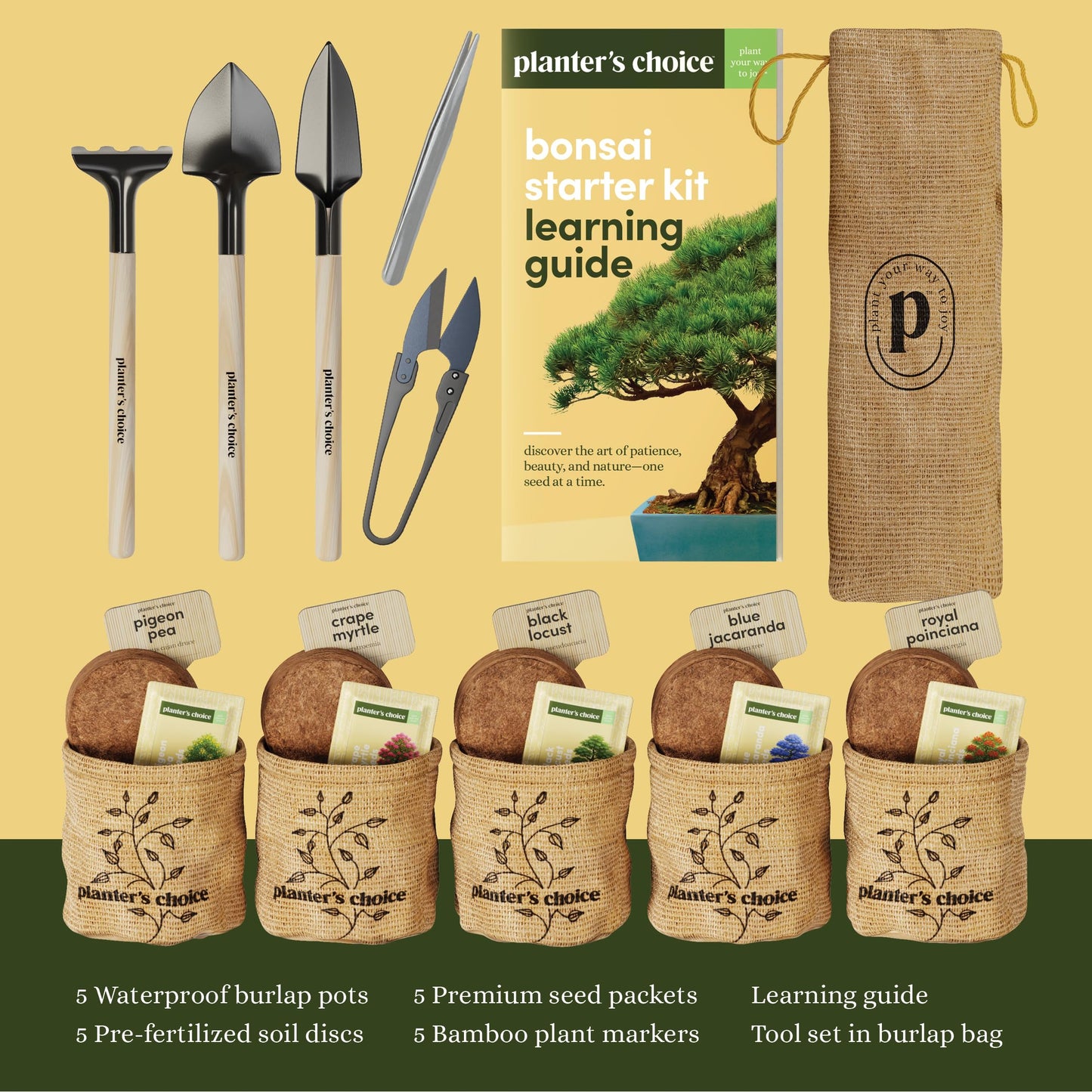 Planter's Choice Bonsai Tree Starter Kit - Unique Gifts for Women, Men - Gifts for Adults - Indoor Live House Plants - DIY Crafts for Adults Craft Kits - Hobby Gift for Gardening Lovers