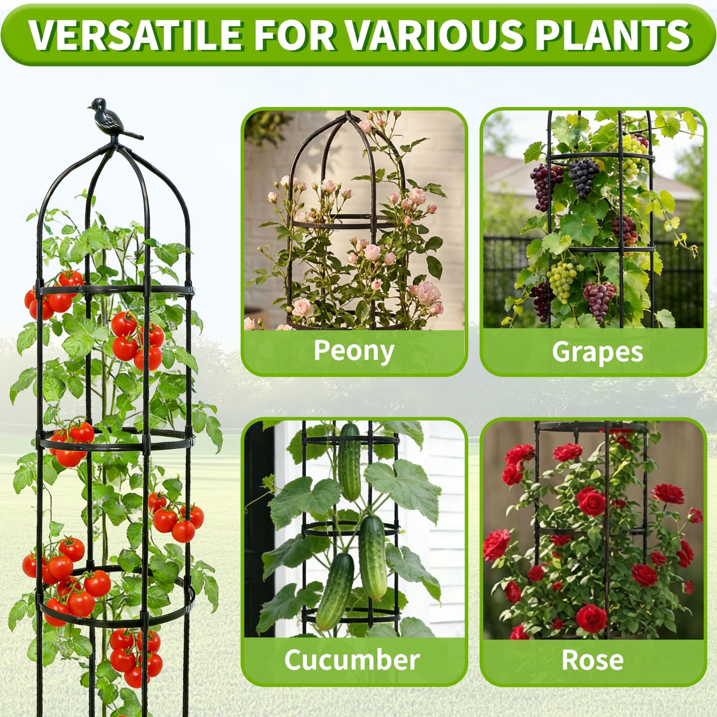 2Pack 6.7FT Garden Trellis for Climbing Plants Outdoor&Indoor, Rustproof Metal Plant Trellis, Obelisk Trellis for Vegetable, Flower, Tomato, Cucumber, Clematis, Rose, Raspberry