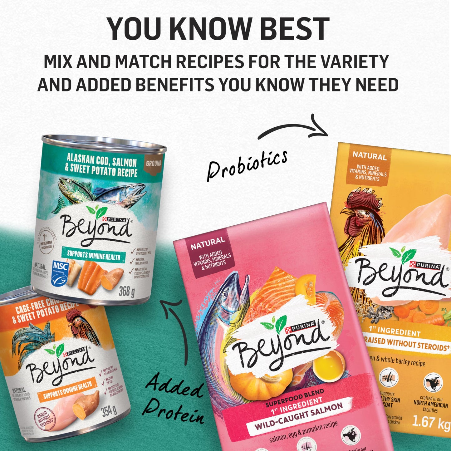 Beyond Natural Wet Dog Food, Alaskan Cod, Salmon & Sweet Potato Ground Entree - 368 g Can (12 Pack)