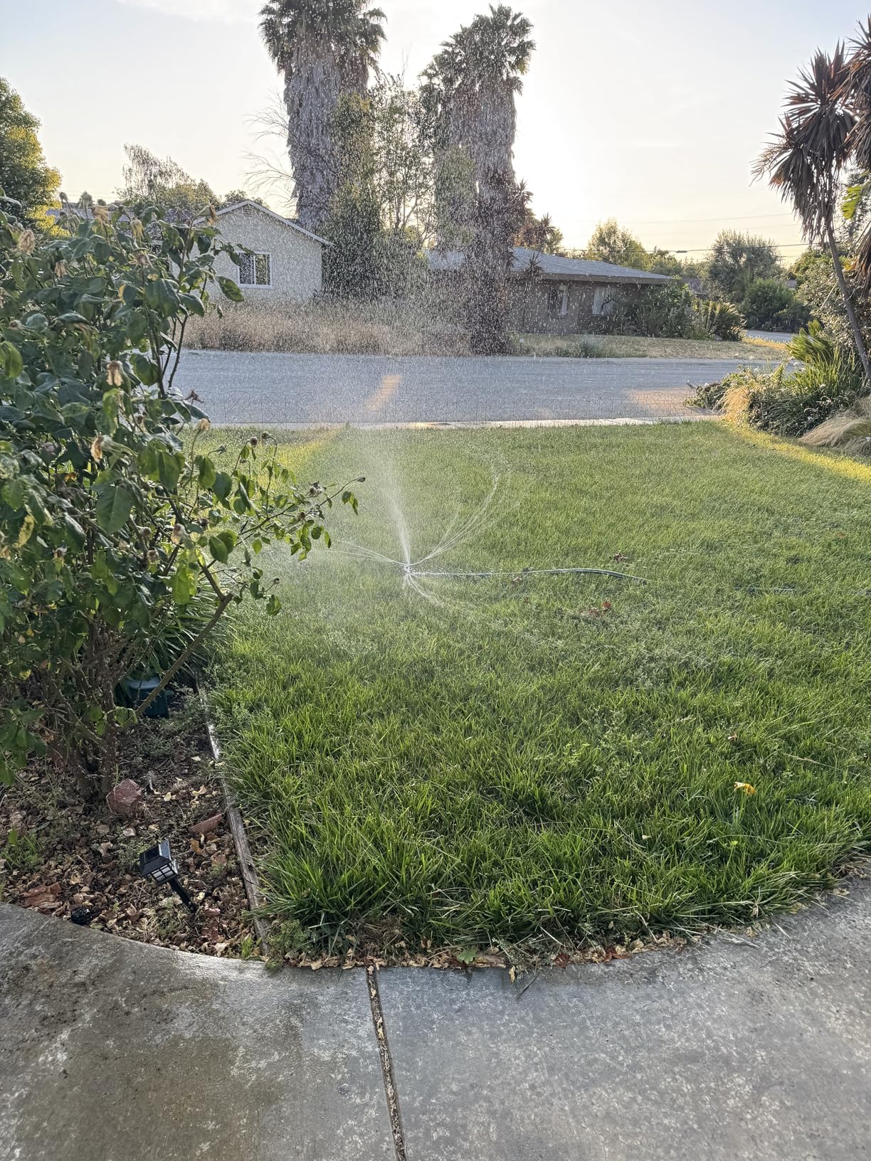 STYDDI Metal Rotating Water Sprinkler for Lawn, Heavy Duty Metal 3-Arms Whirling 360 Degree Automatic Rotary Lawn Sprinkler with Wheeled Base for Small Lawn and Garden, Yard, Cover up to 1,384 Sq. ft.