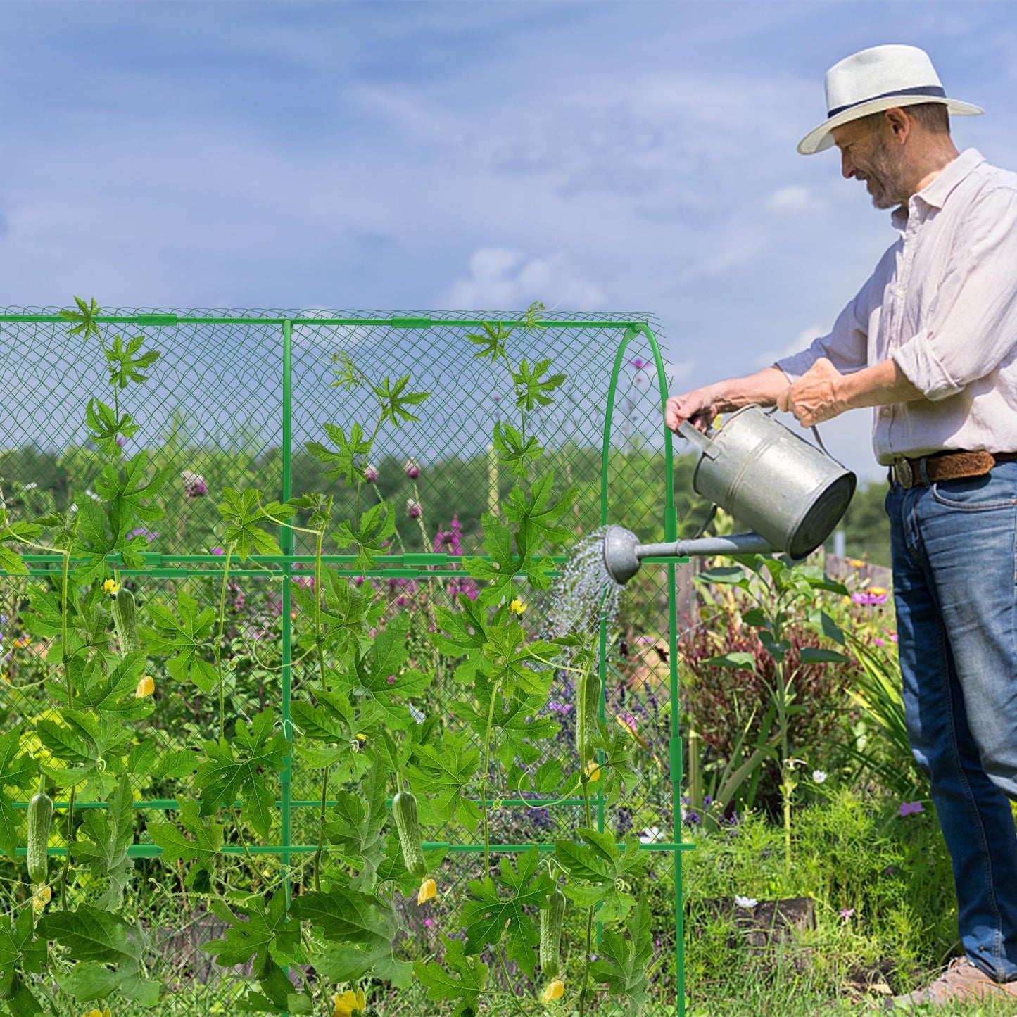codree 2 Packs Garden Cucumber Trellis for Plant- 47 x 47 Inch Metal Arch Melon Trellis for Raised Bed- Foldable Tunnel Trellis with Climbing Net Clips for Growing Vine Vegetable
