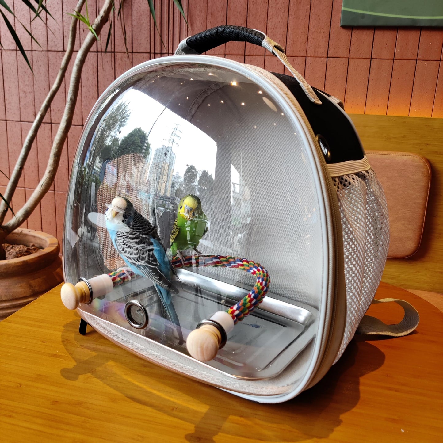 Small Bird Travel Backpack Carrier Cage, Backpack to Transport Backpack Carrier with Metal Tray Stand Perch for Parakeet Cockatiel Budgies Vet Carry Book Bag Green