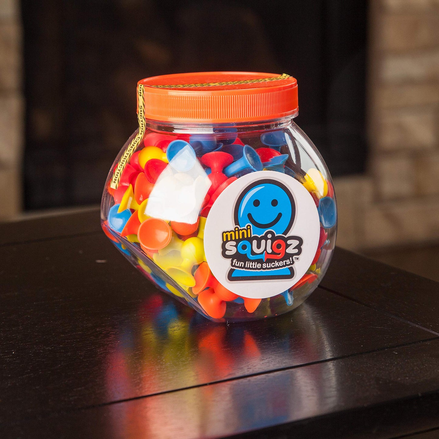 Fat Brain Toys FBT-2088 Mini Squigz Building Kit