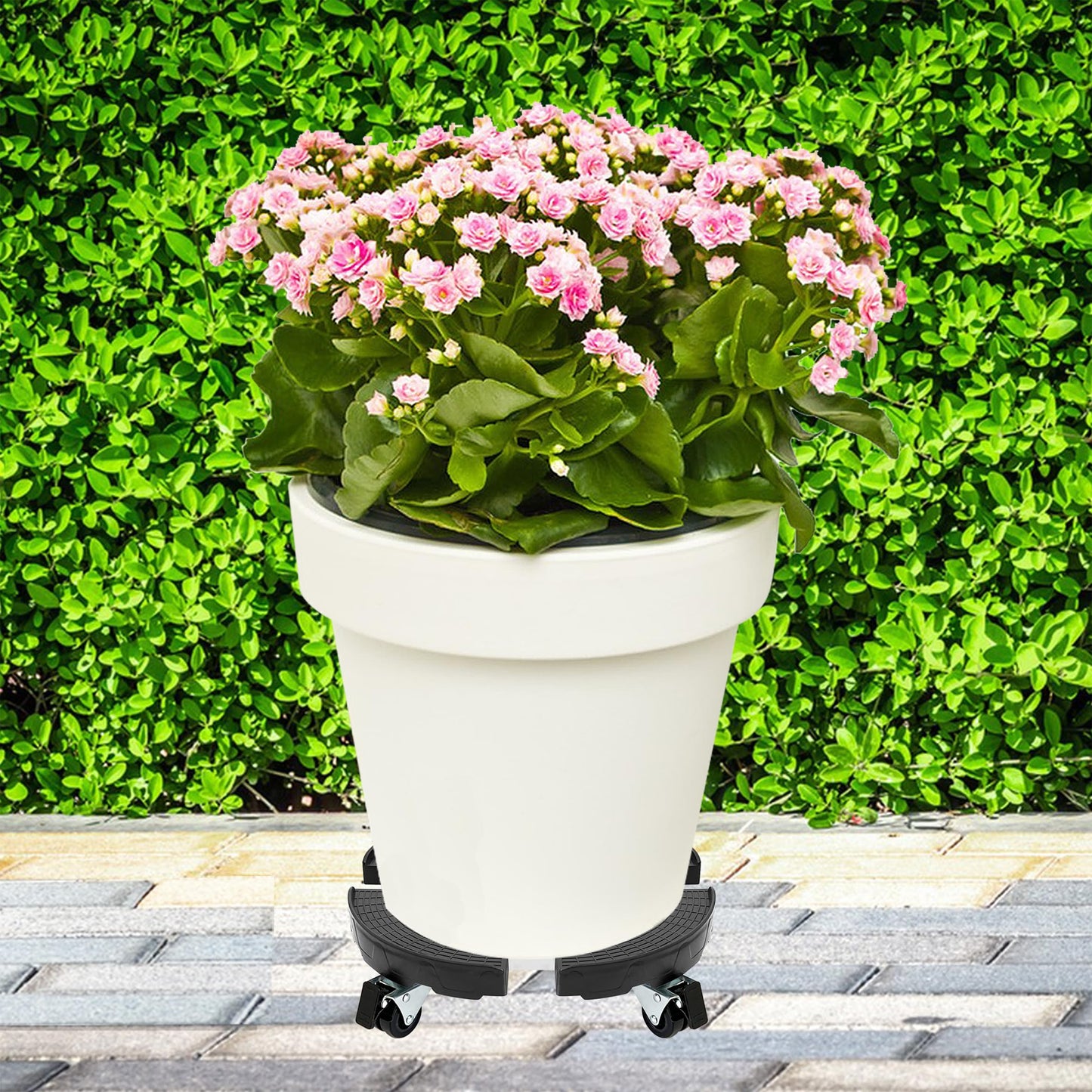 CASIMR Plant Stand with Wheels, Adjustable 15-21" Heavy Duty Plant Caddy with Casters, 440lb Capacity Indoor Outdoor Large Potted Planter Cart Dolly, 2 Pack Rolling Plant Stand for Flower Pot