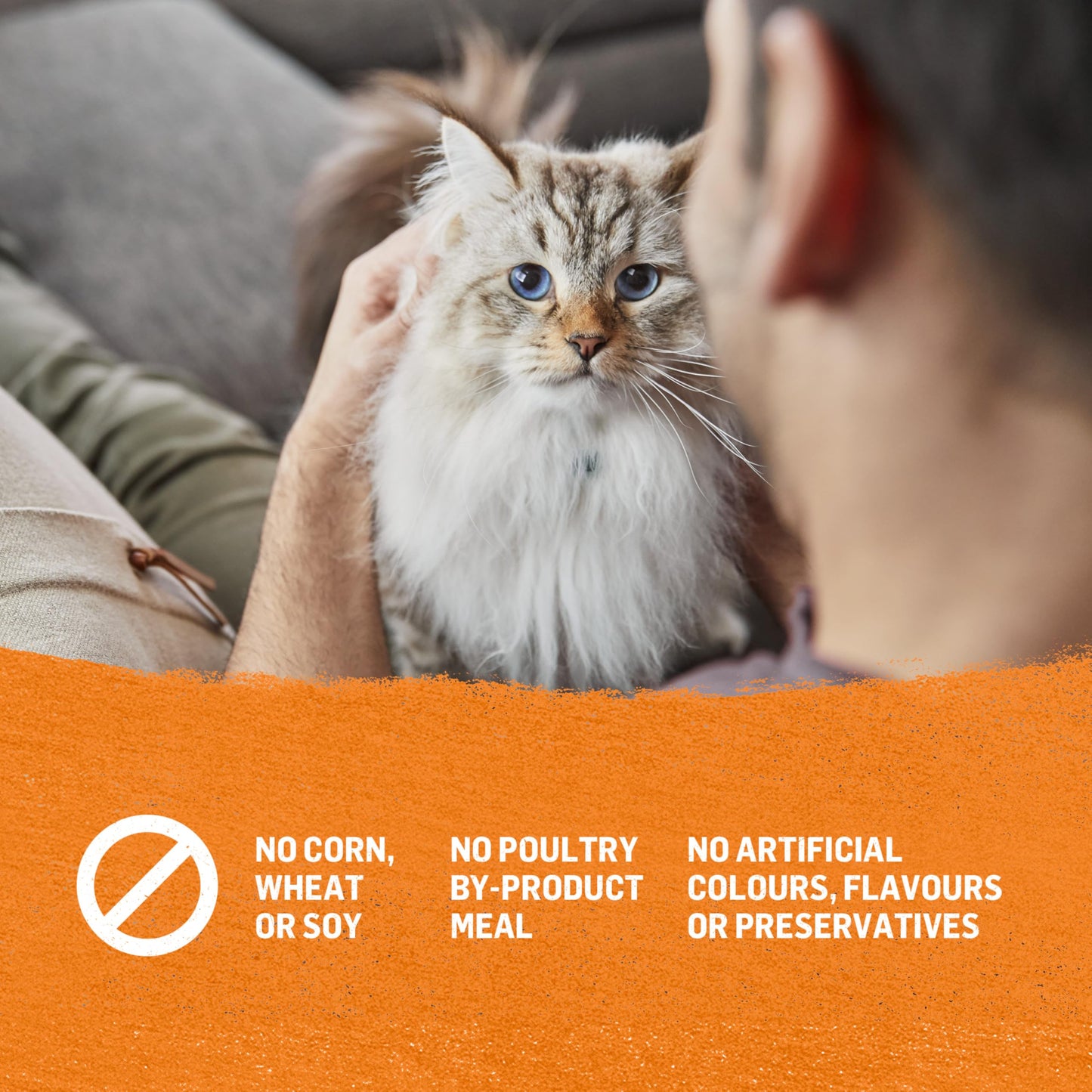 Beyond Grain Free Natural Wet Cat Food, Pate Variety Pack 4 Flavours - 85 g Can (24 Pack)