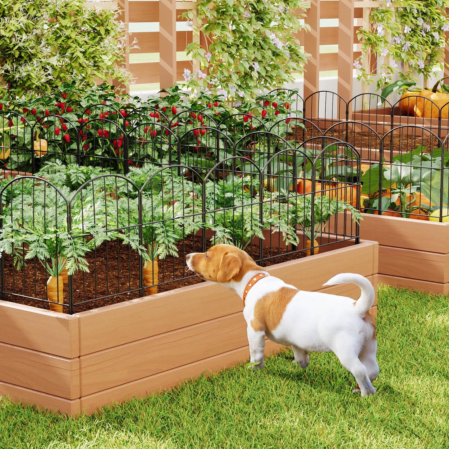 Goovilla Garden Fence Panels, 10 Pcs 12in W x 24in H Metal Rustproof Animal Barrier, Black Decorative Garden Fences and Borders for Dogs, Flower Bed, Patio