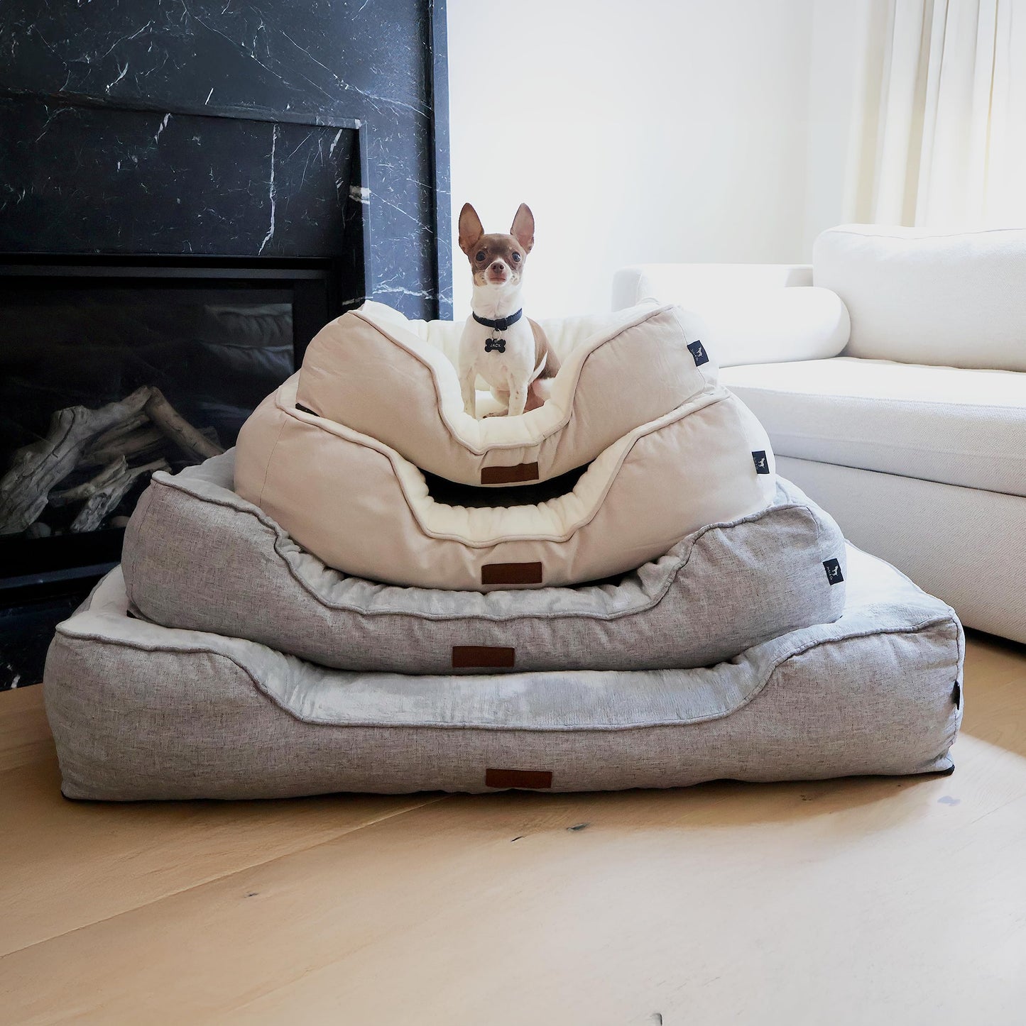 JACKO & CO - Premium Orthopedic Dog Bed with Egg Crate Memory Foam – Waterproof Lining & Removable Machine Washable Cover – Soft Velvet Fabric & High-Density Foam with Non-Slip Base (Grey, Small)