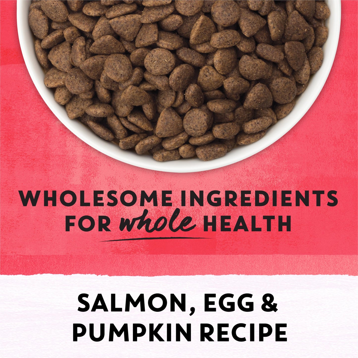 Beyond Superfood Blend Natural Dry Dog Food, Wild Caught Salmon, Egg & Pumpkin - 10.2 kg Bag