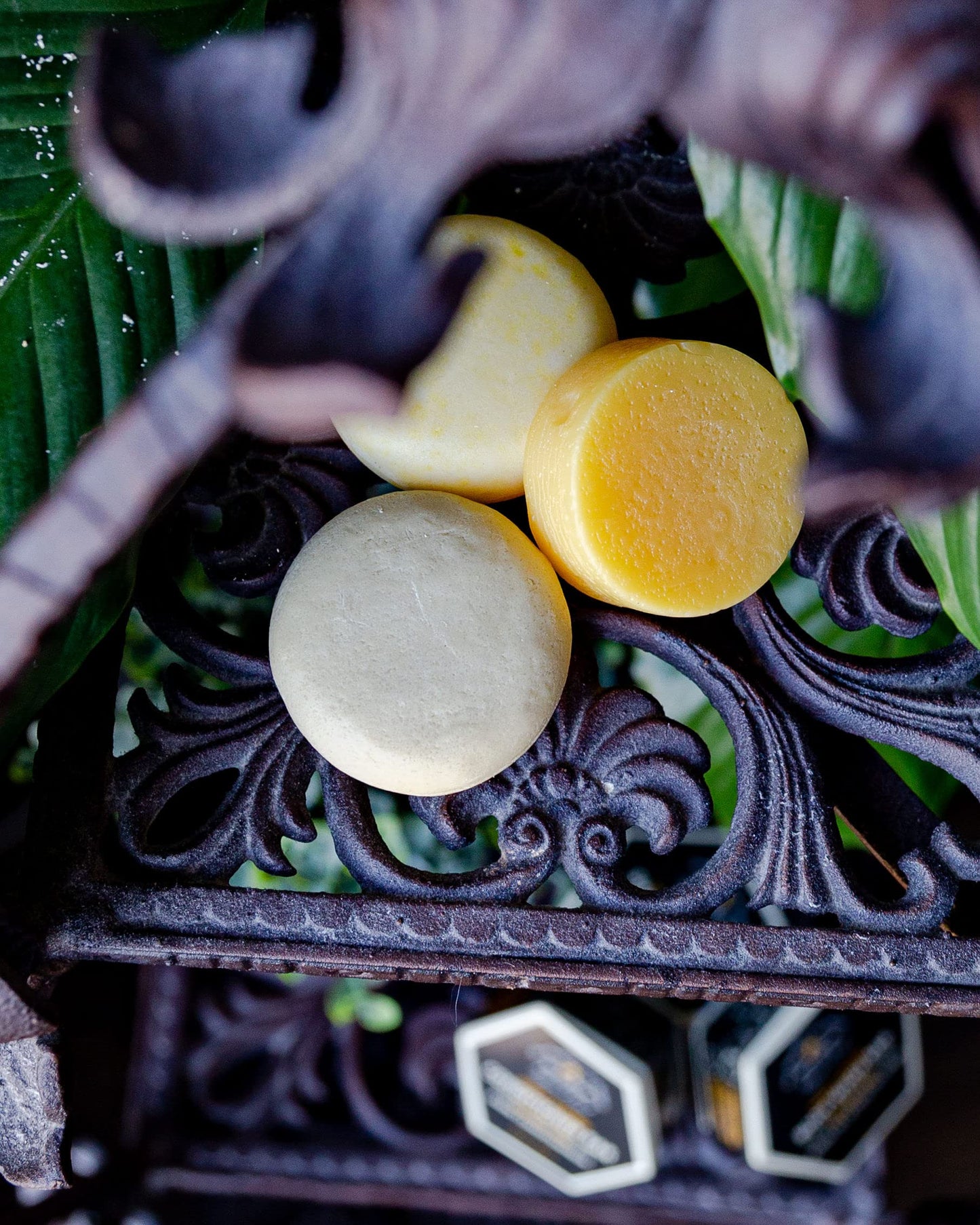 Bee By the Sea Eco Bar Variety Pack (Shampoo, Conditioner and Body Wash)