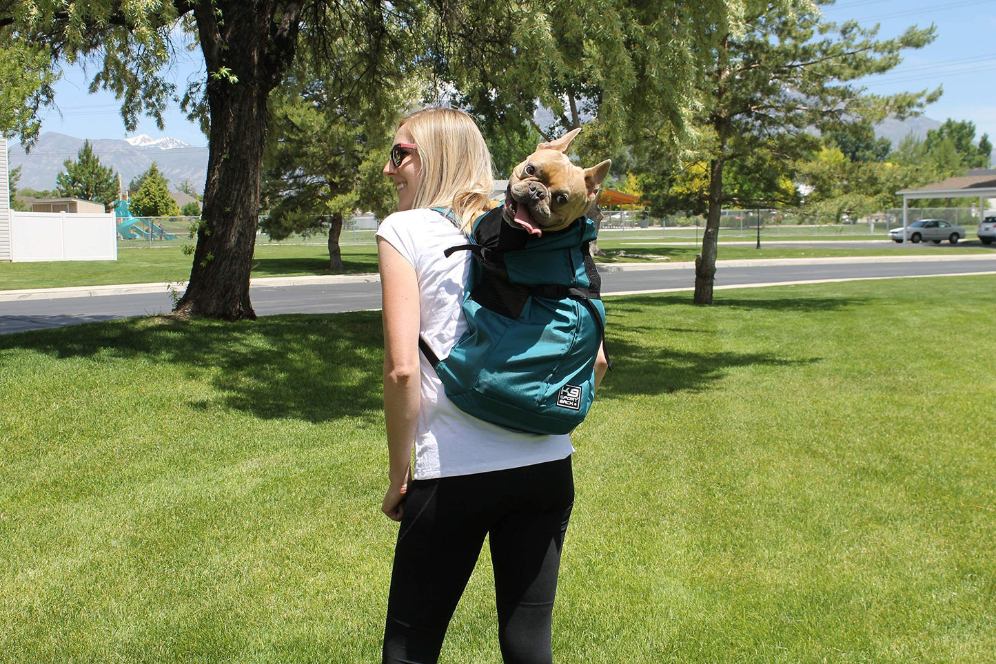 K9 Sport Sack Trainer | Dog Carrier Dog Backpack for Pets (Small, Irongate)