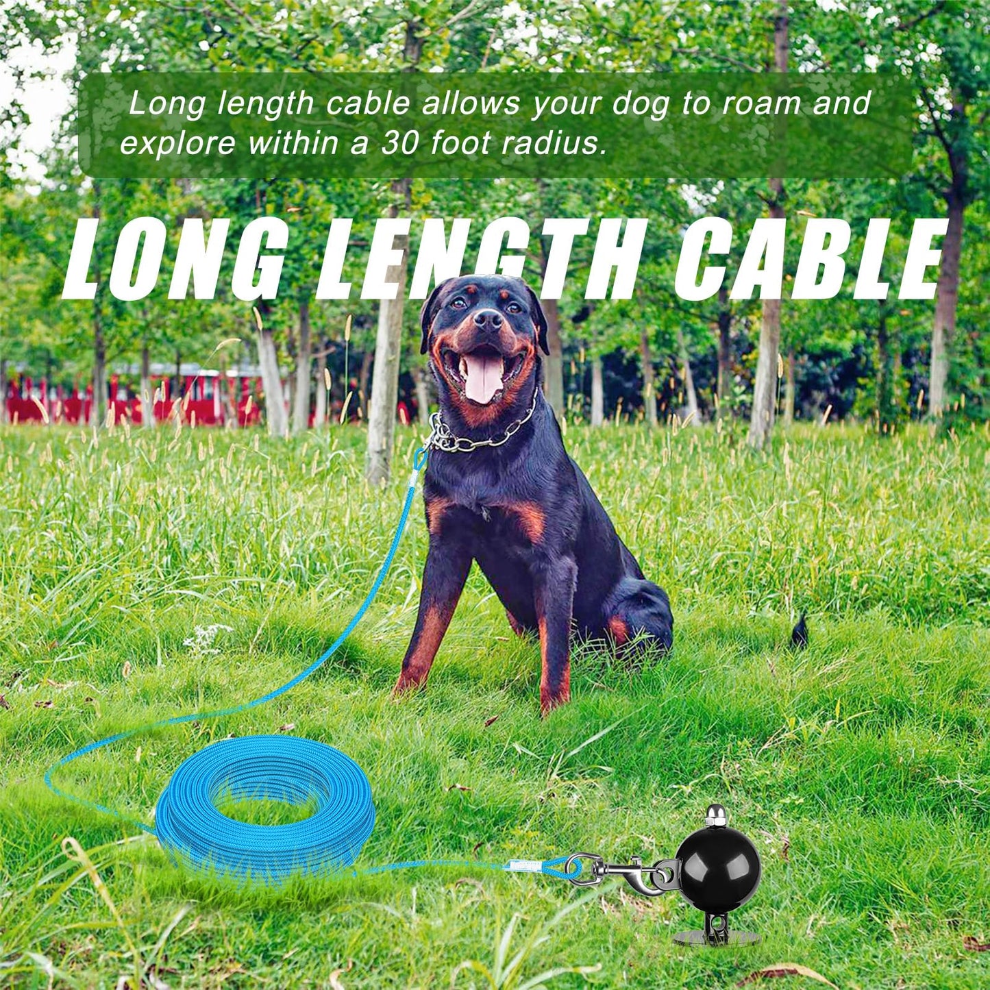 SELEWARE Anti-Rust Tie Out Stake Outdoor Anchor for Large Dogs up to 220 lbs With 30 ft Long Leash