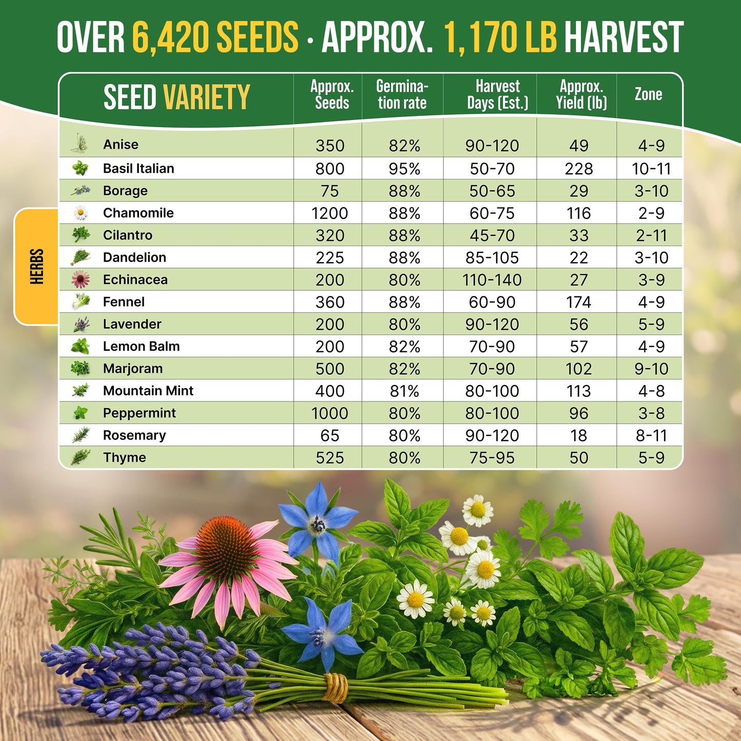 15 Medicinal & Tea Herb Seeds Variety Pack for Planting Indoor & Outdoors. 3600+ Non-GMO Heirloom Herbal Garden Seeds: Anise, Borage, Cilantro, Chamomile, Dandelion, Rosemary, Peppermint Seeds & More
