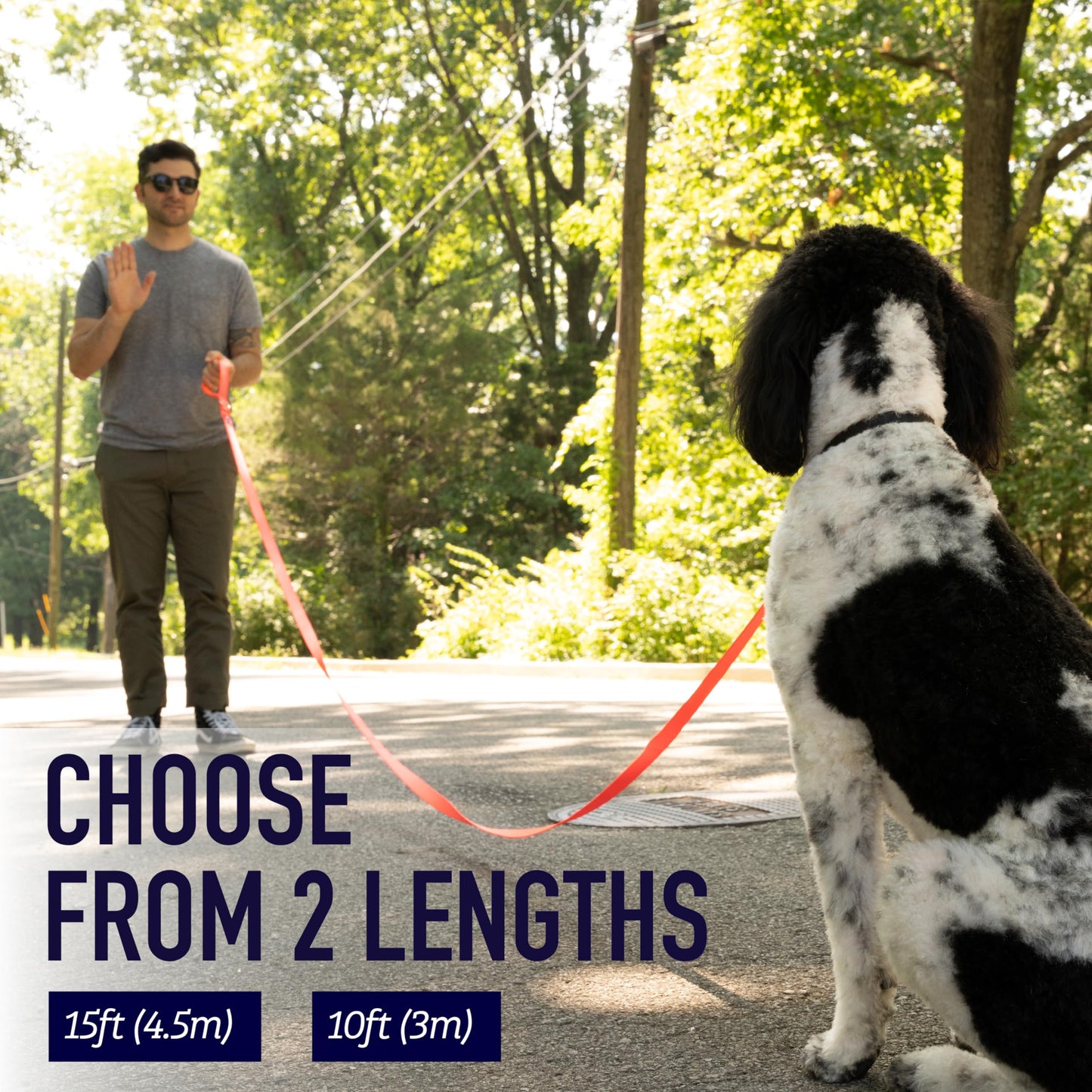 Leashboss 10 Foot Dog Leash with Padded Handle - Long Leash for Hiking, Camping, Exploring, or Walking (10 Feet, Black/Red/Grey)