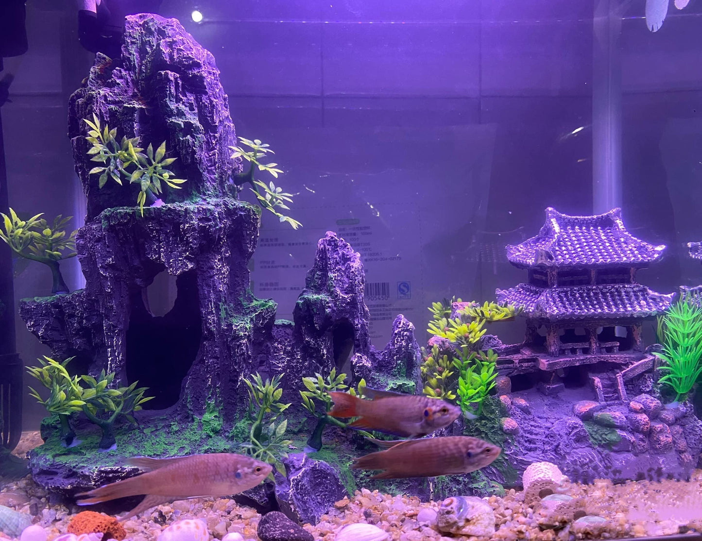 AWXZOM Extra Large Aquarium Decorations kit - “Ancient Temple in The Mountain”, Japanese Aquarium Decorations Resin Aquarium Castle Decorations Aquarium Mountain View Stone