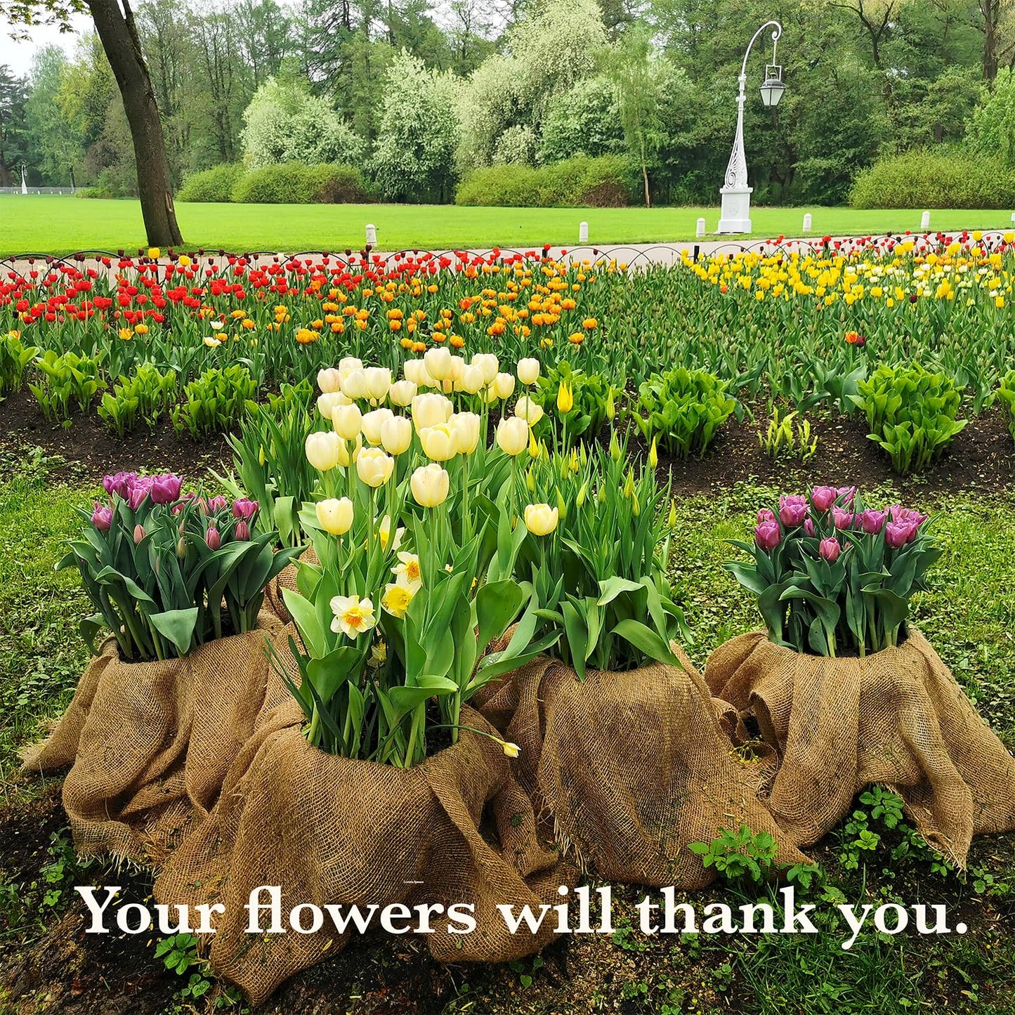 Burloptuous 60" x 16 Feet Gardening Burlap Fabric Roll - Tree Wrap, Weed Barrier, Erosion Control, Aisle Runner, Multipurpose Natural Fabric, High Density Jute Fiber Material