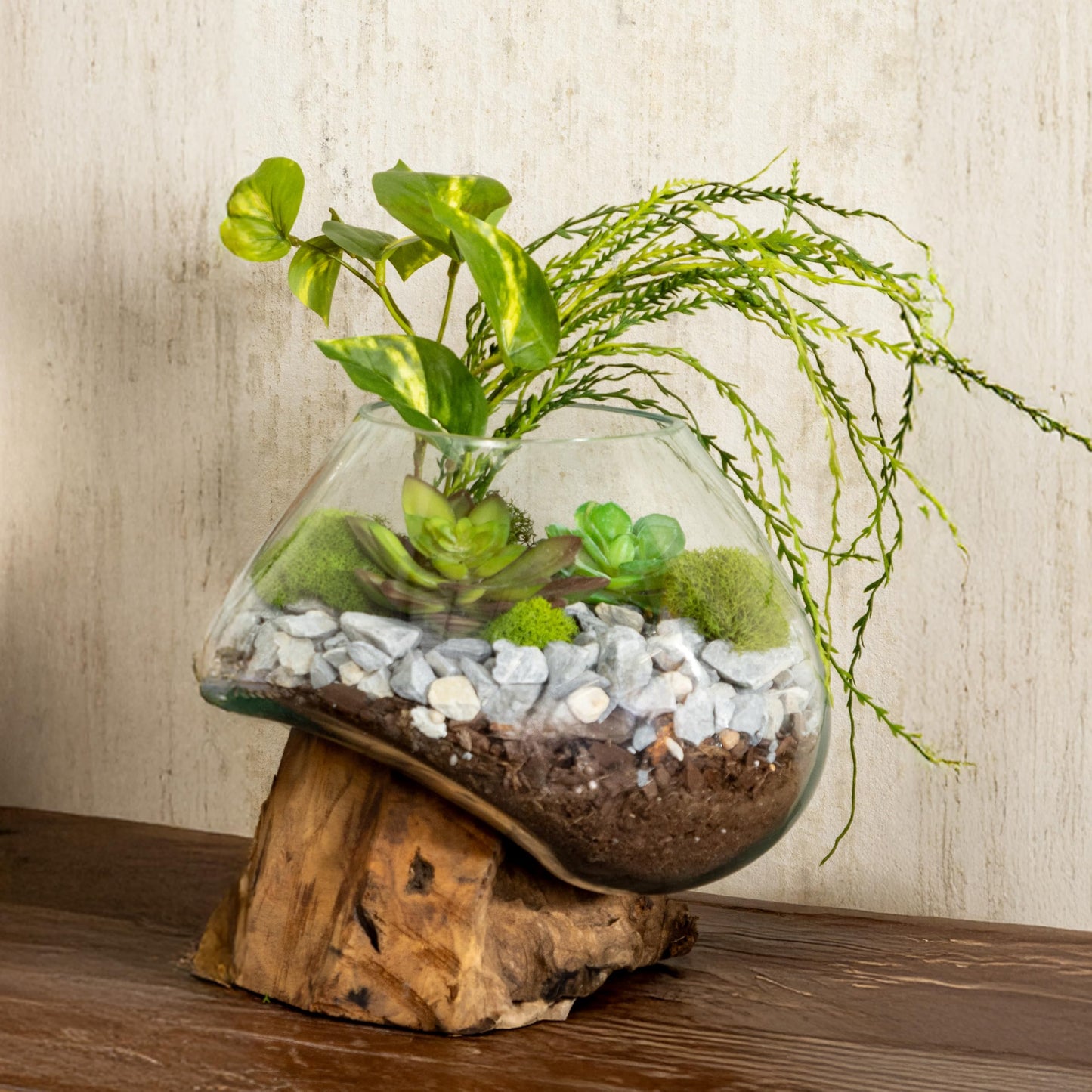 Cape Craftsmen Glass Planter on Driftwood