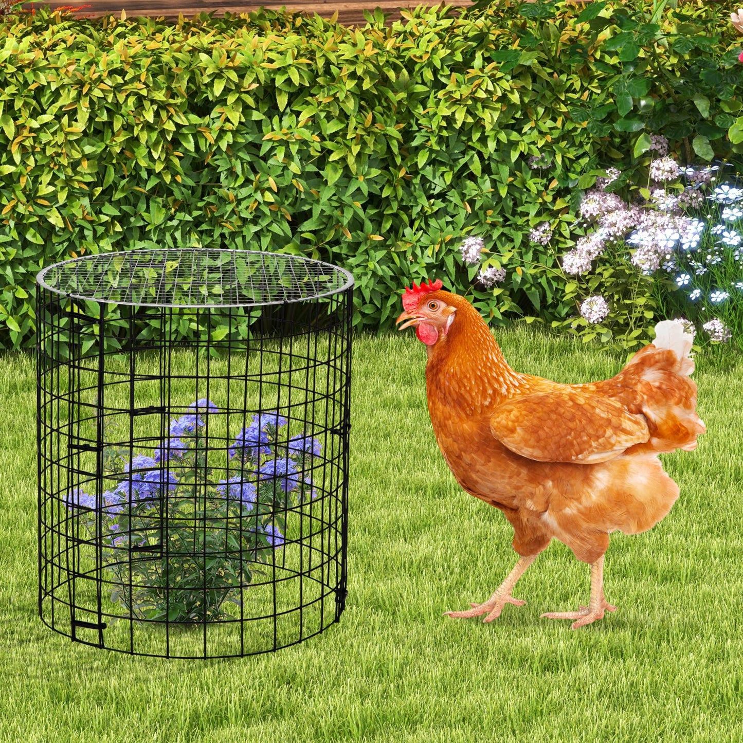 Adnee 8 Pack Wire Plant Protector with Cover-12" x 11" Detachable Plant Protector Metal Plant Cages-Garden Plant Cages for Flower Vegetable to Keep Animals Out