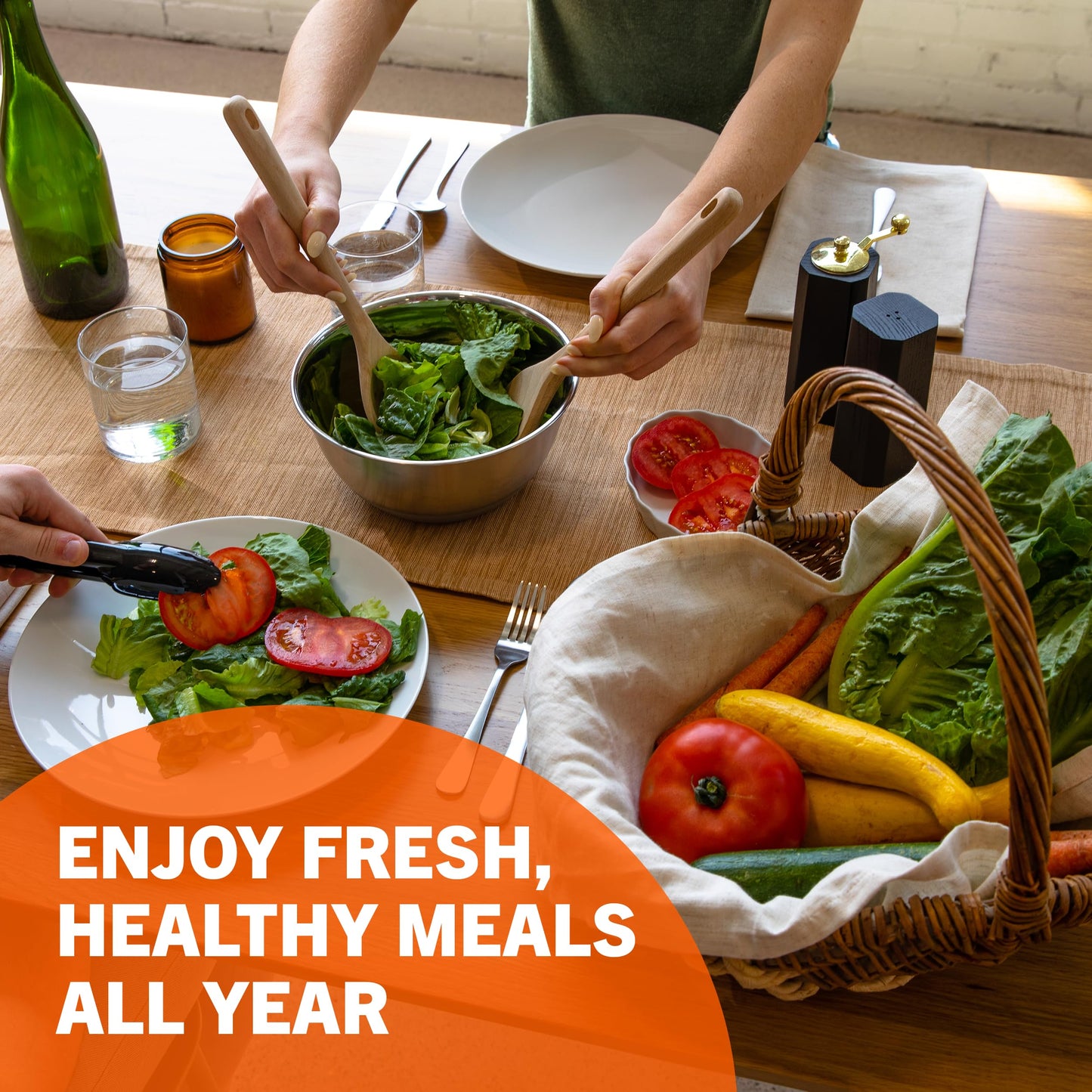 15,000+ Non-GMO Heirloom Vegetable Seeds 32 Variety Pack by Open Seed Vault