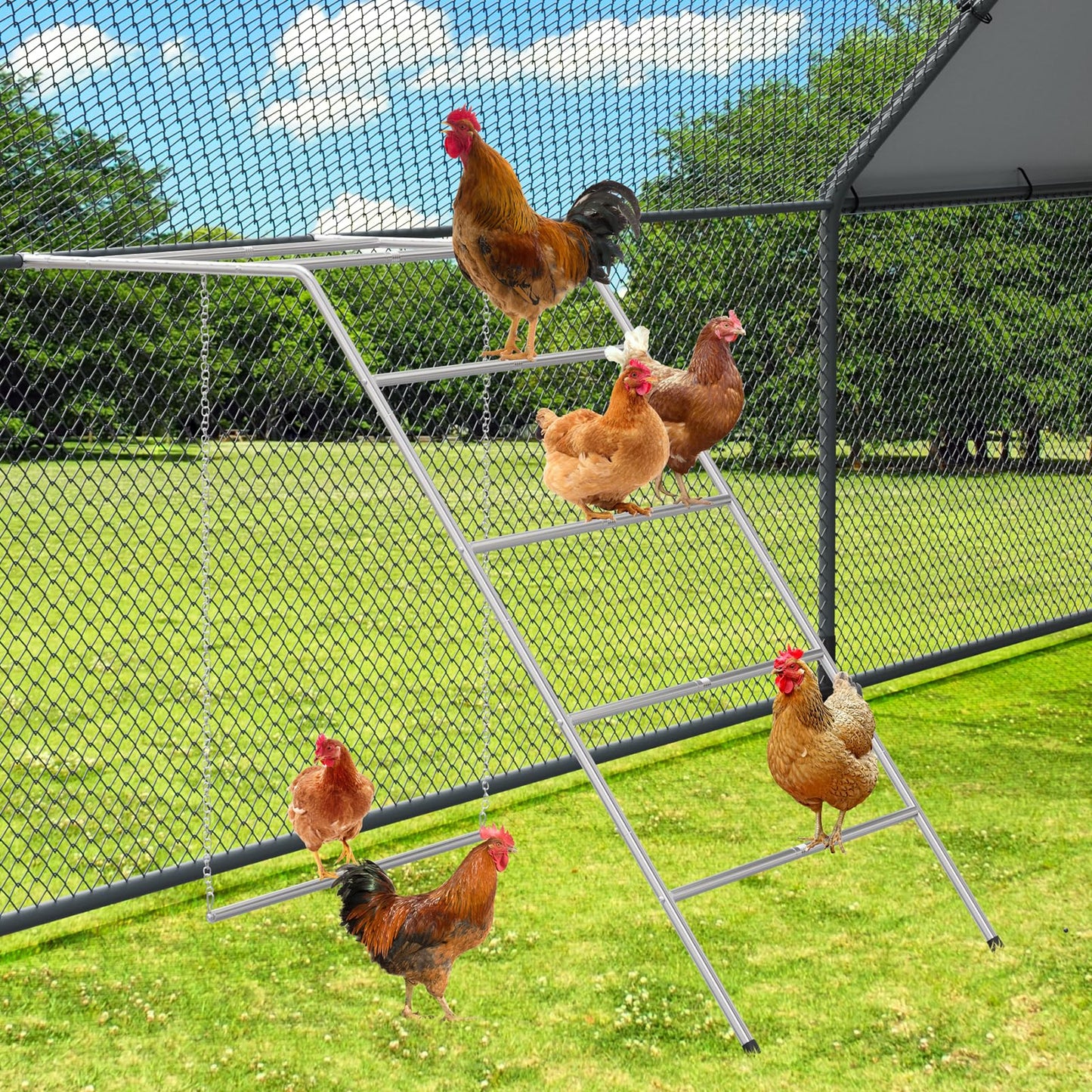 Chicken Coop Perches with Swing, Metal Chicken Roosting Bars, Chicken Run Toys Accessories for Backyard Poultry Habitat Supplies, Hen Perch for Coop, Farm Chick Ladder, Grey