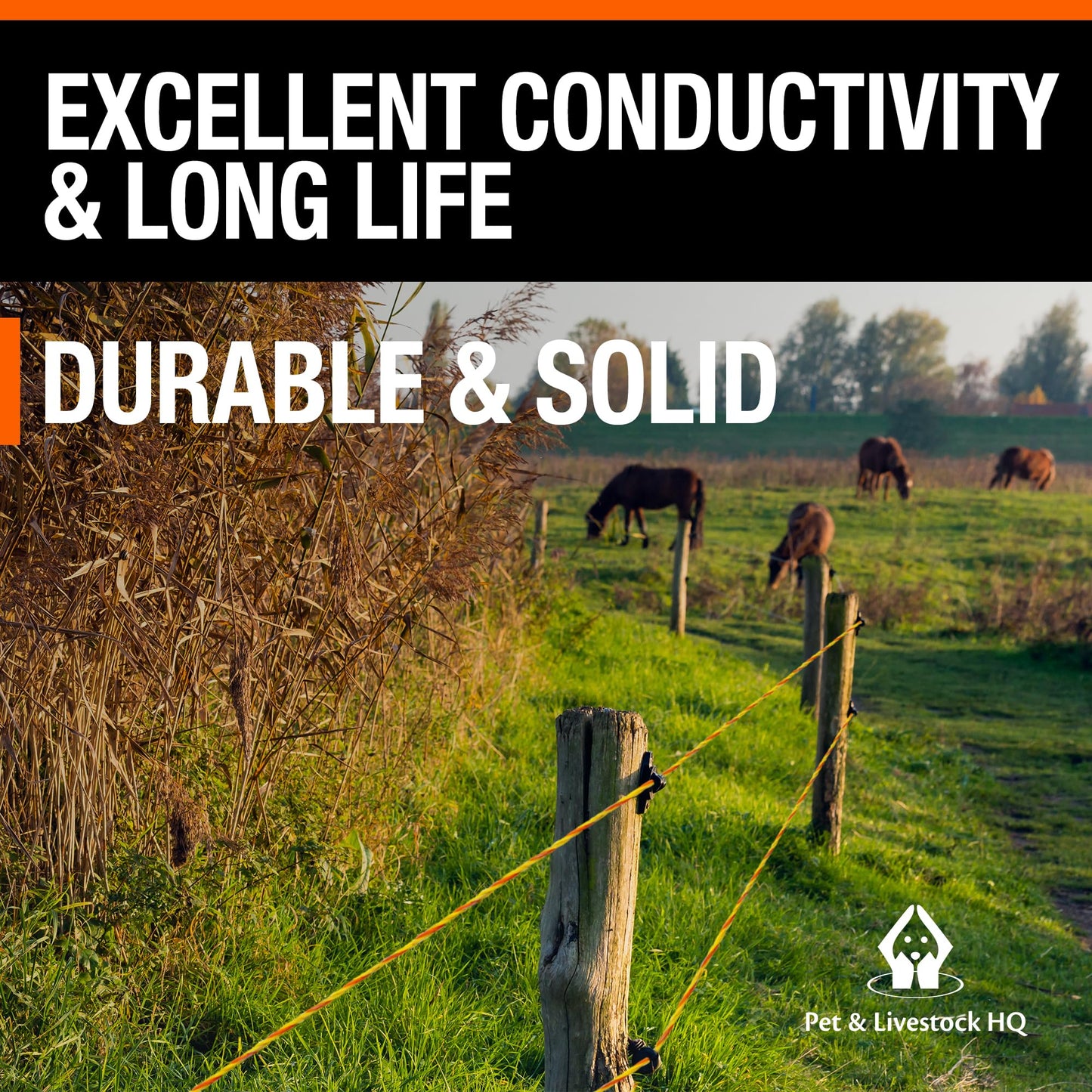 Electric Fence Polywire 3mm with 9 Stainless Steel Strands - High Visible Wire Fencing for Horse, Cattle, Livestock - Portable Fencing with UV and Rust Resistance (3280ft / 1000m)