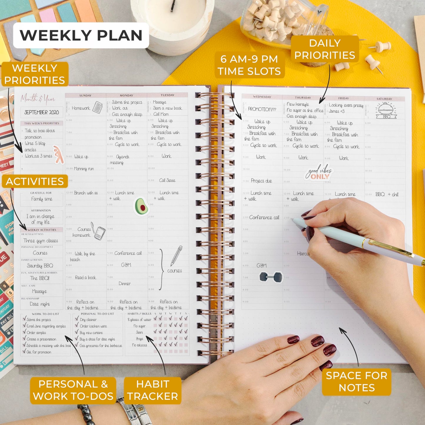 PLANBERRY Large Hourly Schedule Planner Premium – Undated Hourly Schedule & Budget Organizer for Time Management – Productivity Journal with Habit Tracker – 8x10.4″ Hardcover (Rose Gold)
