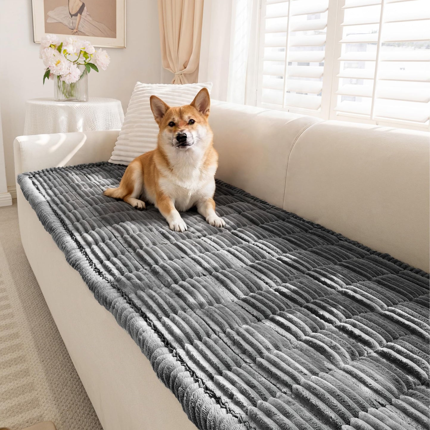 Cshionary Couch Cover for Dogs, Washable Dog Couch Cover for 3-Cushion Sofa - Soft Plush Pet-Friendly Furniture Protector with Non-Slip Backing (Dark Gray, 180x70cm)