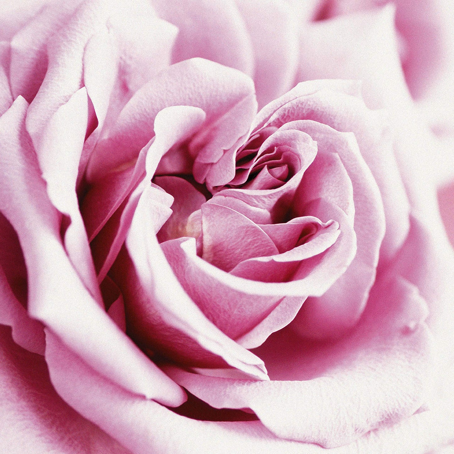 Casual By Paul Sebastian For Women. Fine Parfum Spray 4.0 Oz