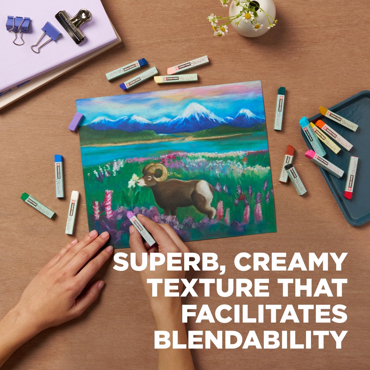 Sakura Cray-Pas Specialist Oil Pastel Set - Premium Quality Pigments, Wax & Oil - 50 Colors
