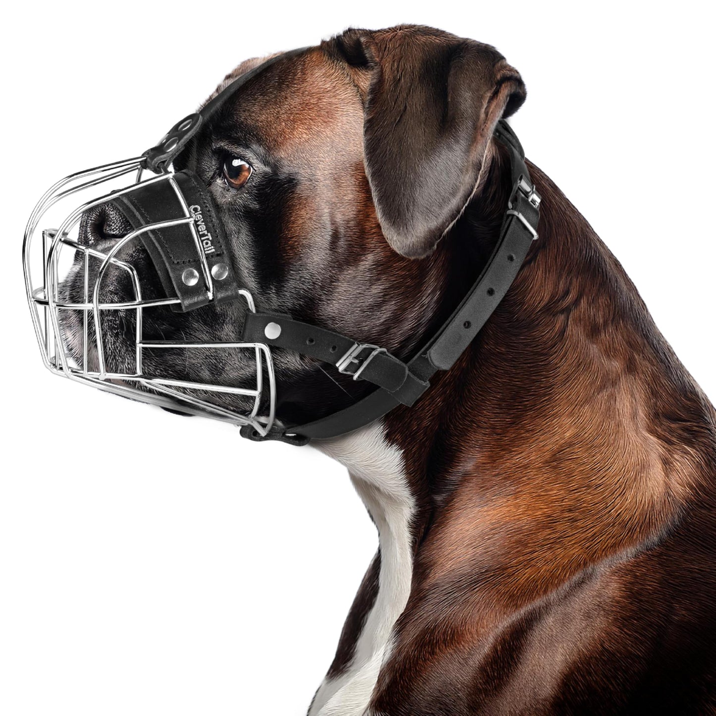 CleverTail Metal Muzzle for Boxer Dog Breed – Bite Proof Boxer Muzzle for Medium and Large Sized Dogs – Steel Wire Basket Muzzles for Dogs English Bulldog, American Bulldog etc.