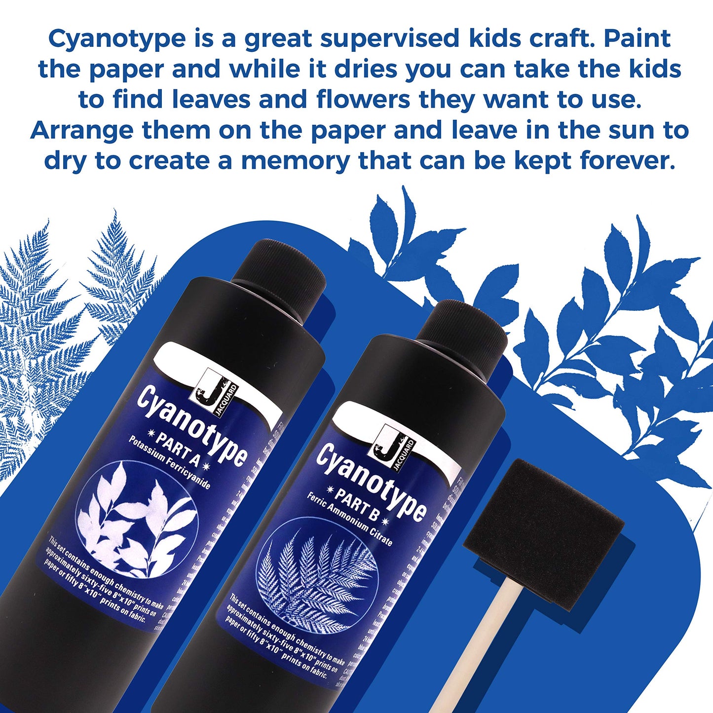 Jacquard Cyanotype - for Photographic Blueprints on Paper and Fabric - 2 Component Sensitizer Set - Bundled with Moshify Sponge Brush for Application