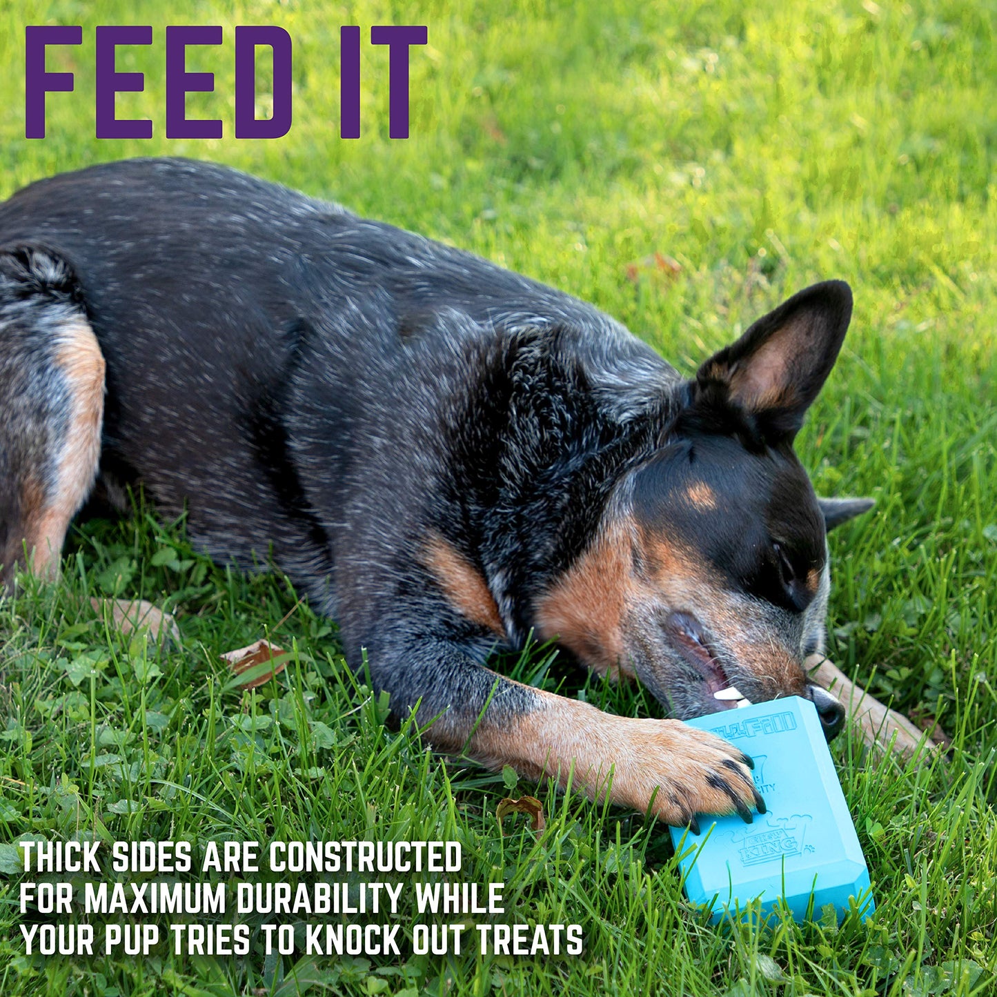 Chew King Premium Treat Dog Toy, XL, Extremely Durable Natural Rubber Fillable Toy Collection, Frozen Feeding, All Breed Sizes