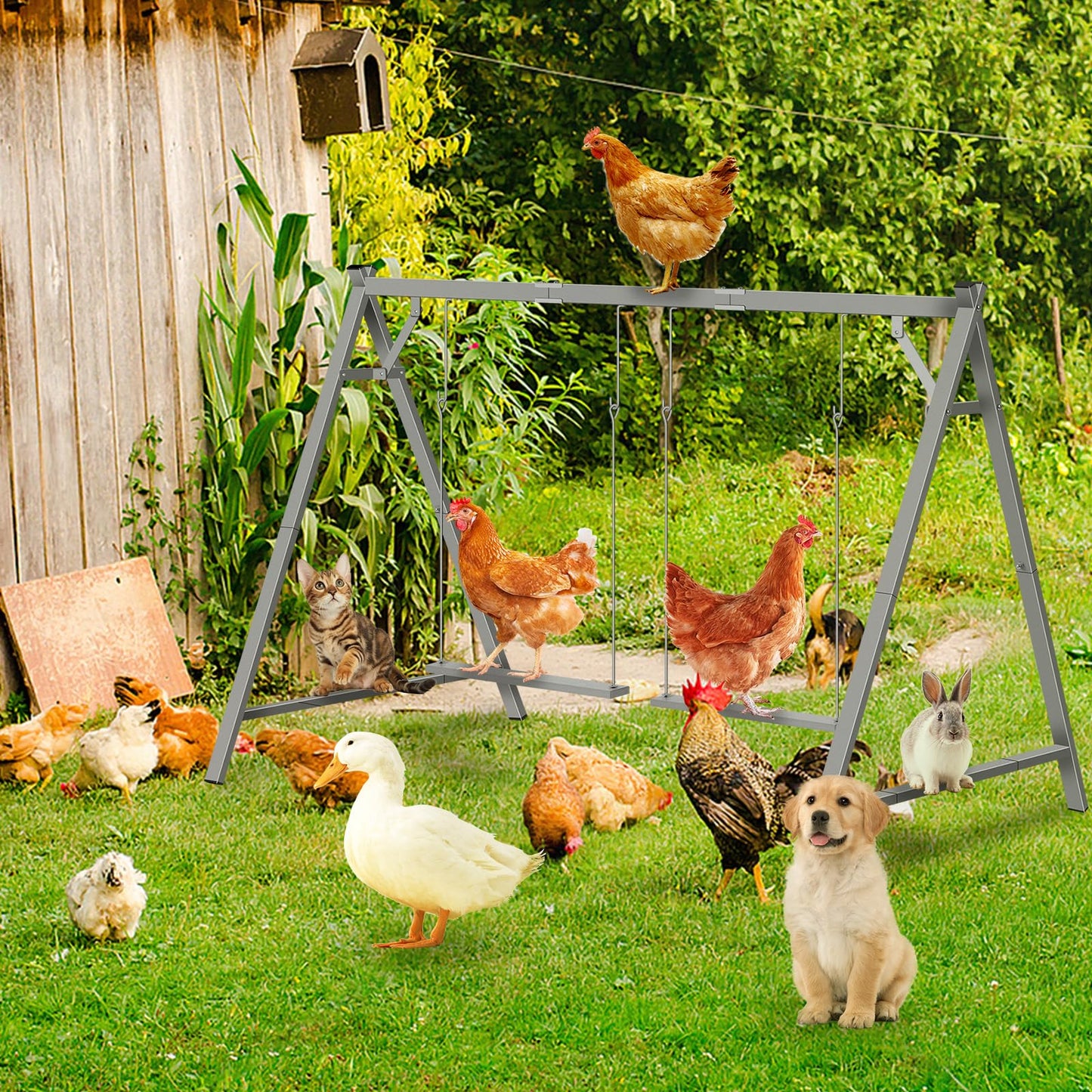 Chicken Perches with Swing,Chicken Roosting Bars,Chicken Swing Toy for Chickens Rooster Poultry Parrots,Chicken Run Accessories for Pet's Health & Happy,Chicken Coop Toys for Backyard Farm