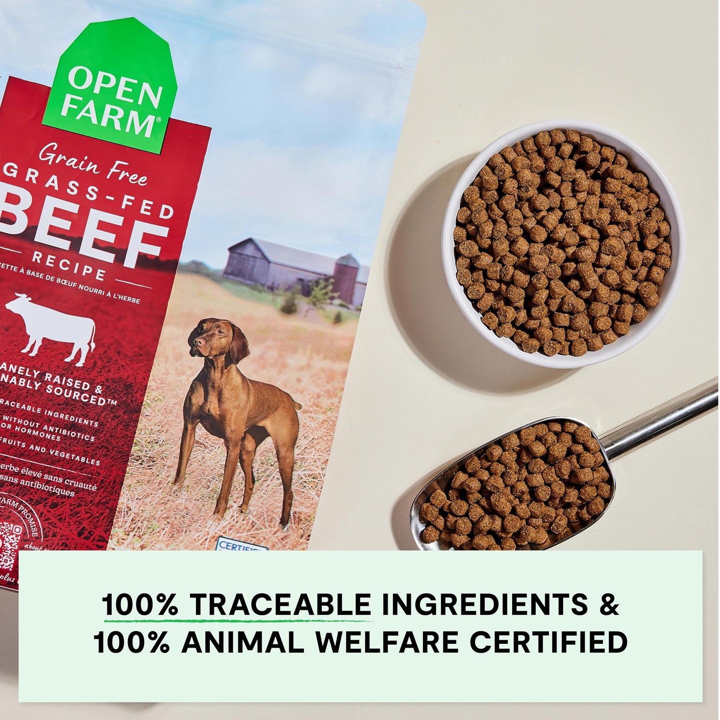 Open Farm, Grain-Free Dry Dog Food, Complete & Balanced Kibble, Sustainably & Ethically Sourced Ingredients, Non-GMO Veggies & Superfoods to Support Overall Health, Grass-Fed Beef Recipe, 4lb Bag