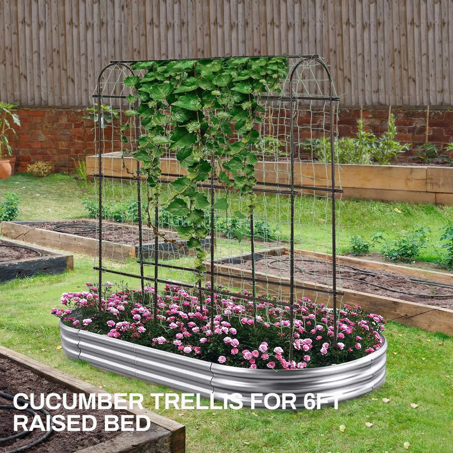 6ft x 6 ft Cucumber Trellis, Metal Garden Arch Trellis for Climbing Plants Outdoor Support Fruits Grape Flowers Vines Vegetables Squash Pea Bea Cucumber Trellis Raised Bed, with Netting